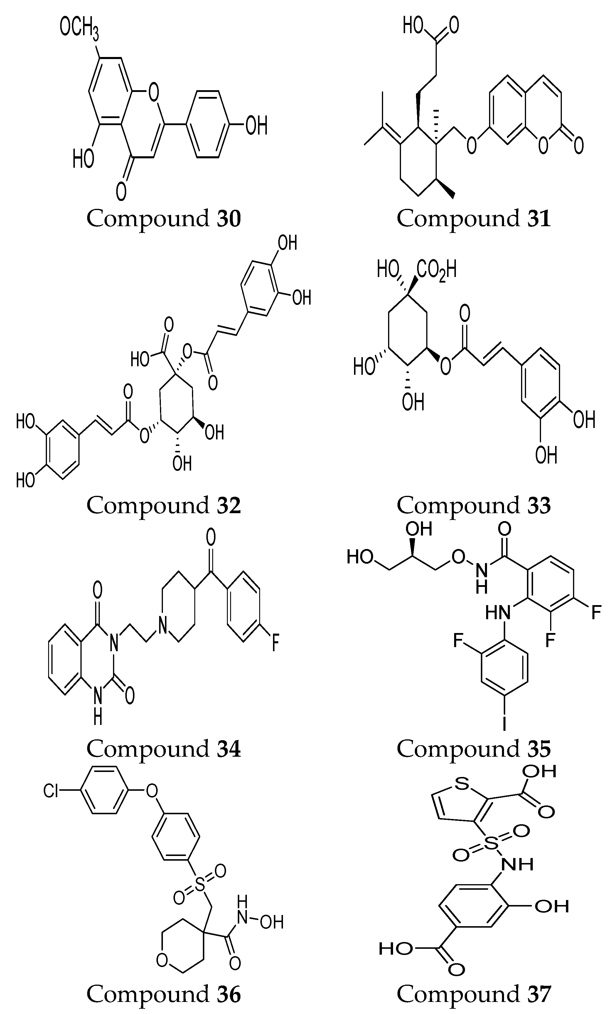 IJMS Free Full Text Novel Matrix Metalloproteinase 9 MMP 9   Ijms 24 12133 G004b 