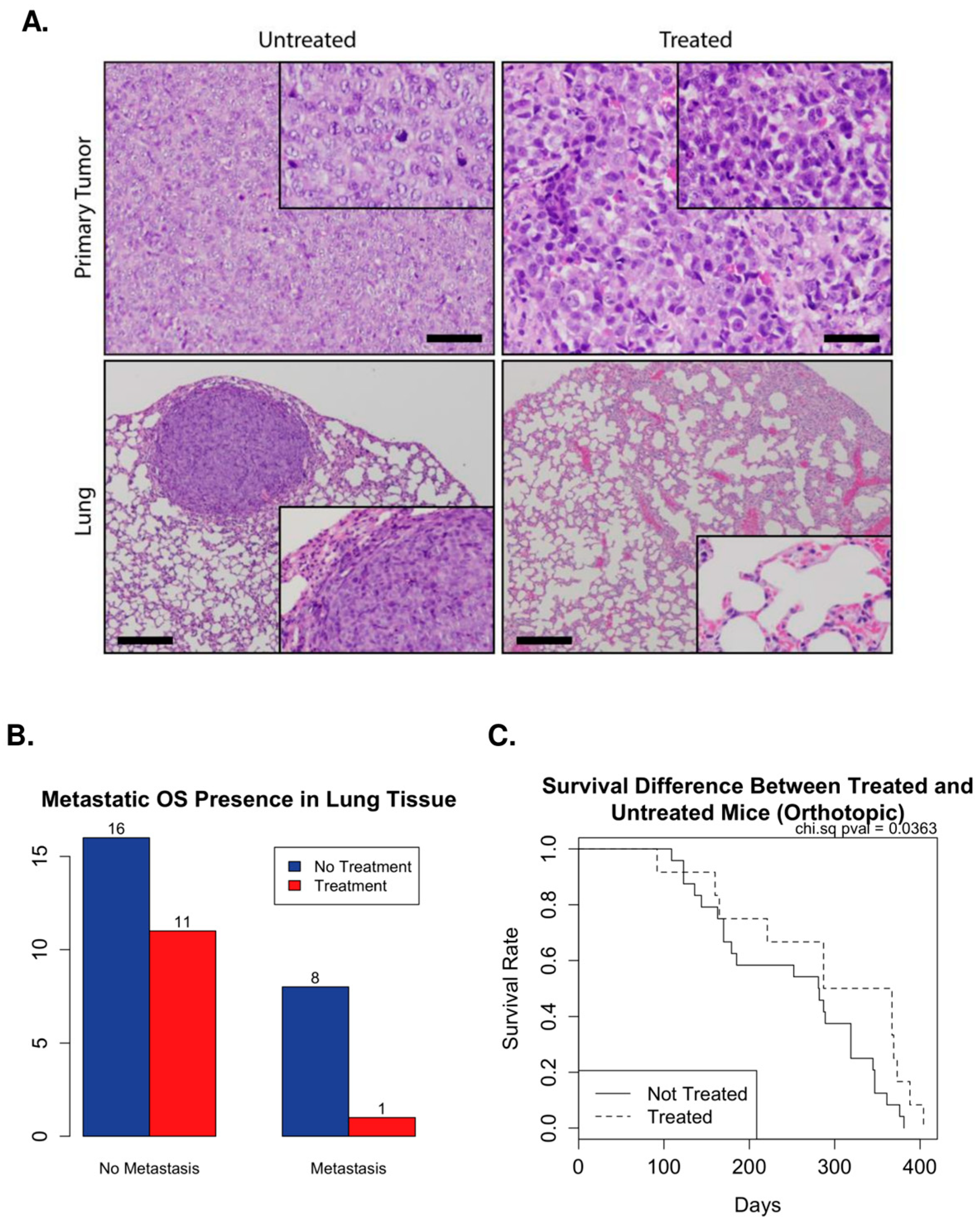 Ijms 24 12155 g004 Ijms 24 12155 g004