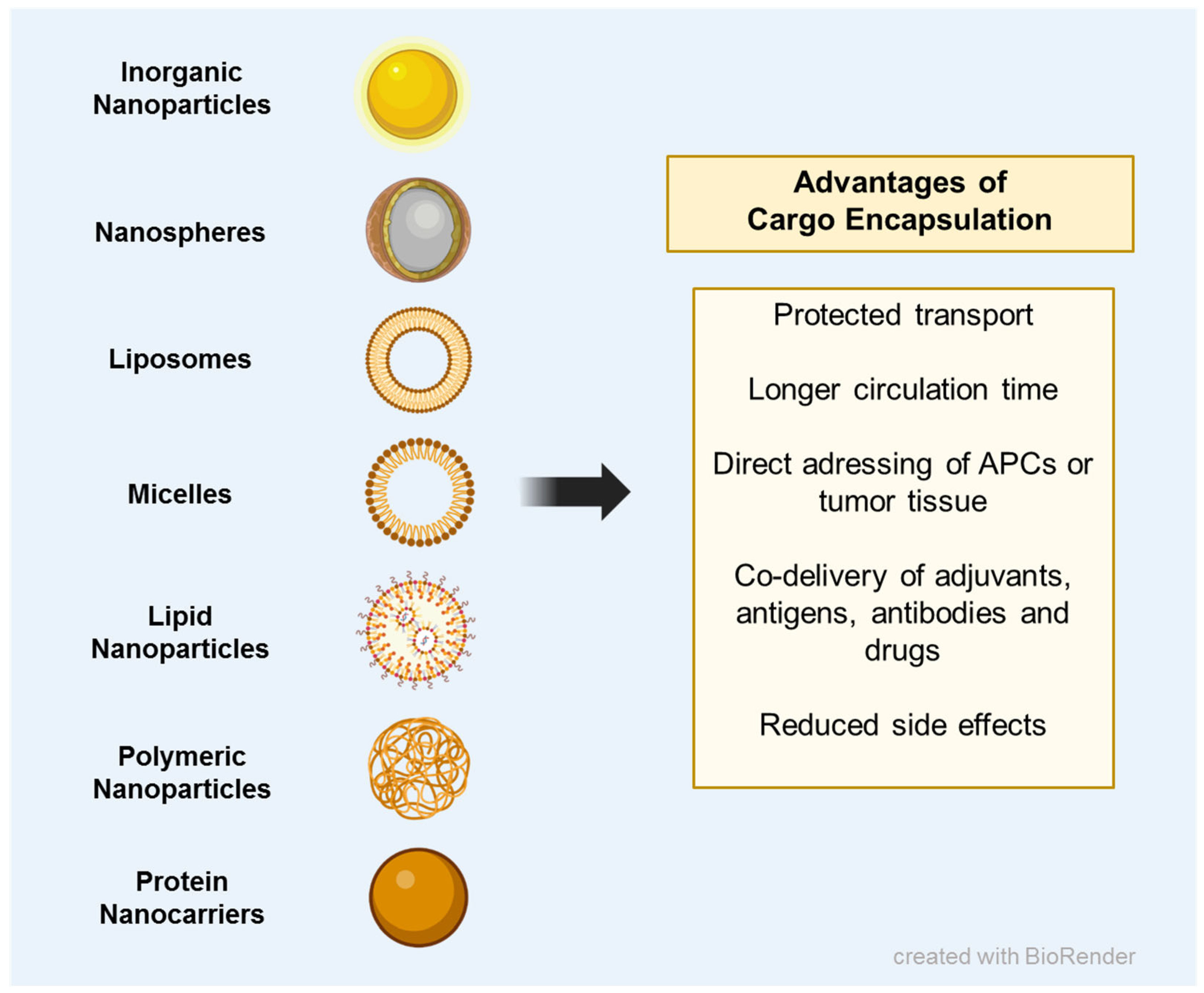 Ijms 24 12174 g002 Ijms 24 12174 g002