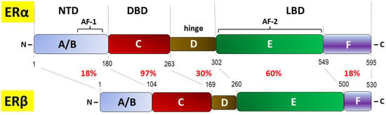 IJMS | Free Full-Text | Insight into the Potential Mechanisms of