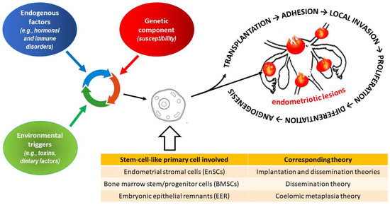 IJMS | Free Full-Text | Insight into the Potential Mechanisms of