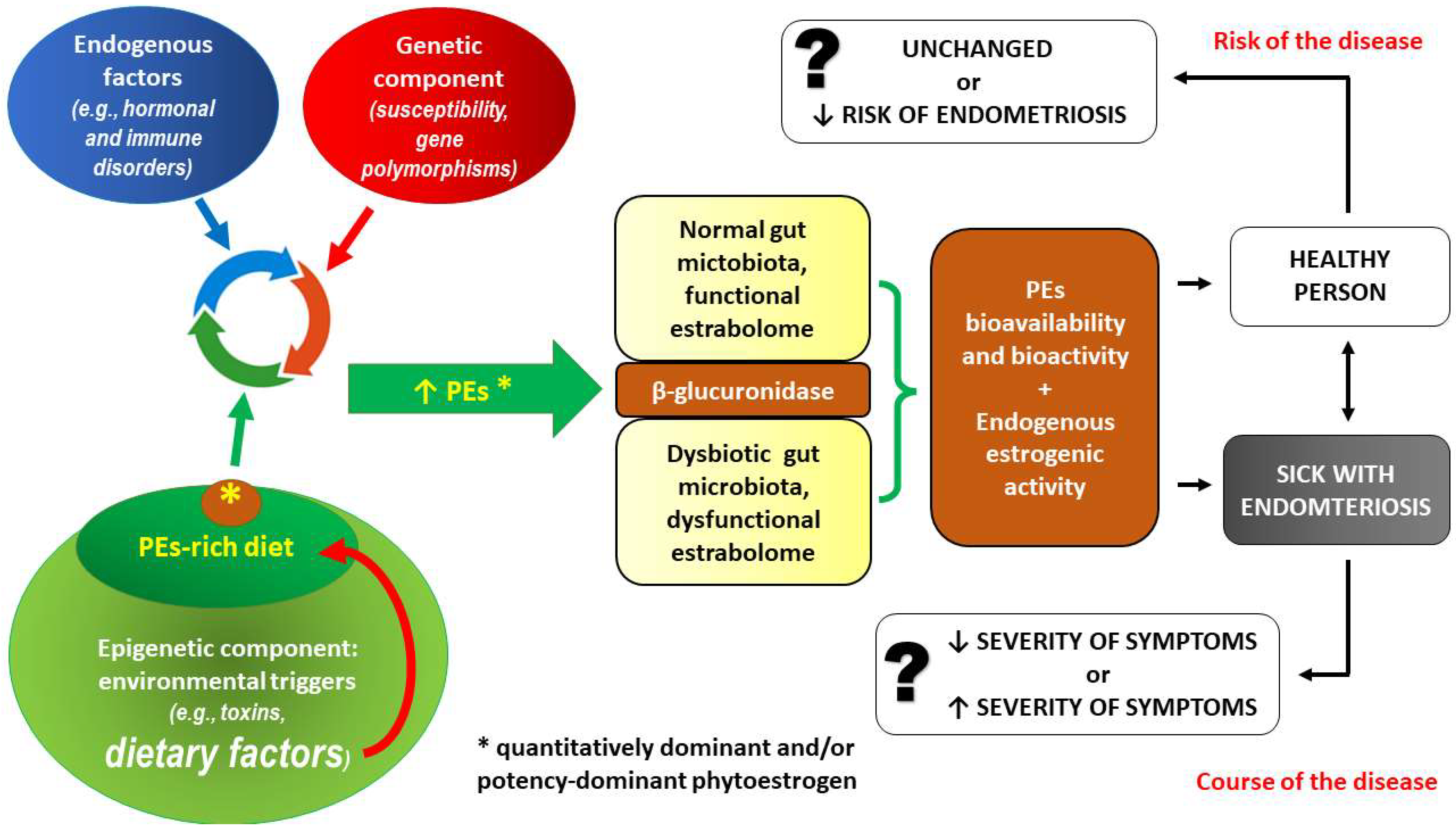 IJMS | Free Full-Text | Insight into the Potential Mechanisms of