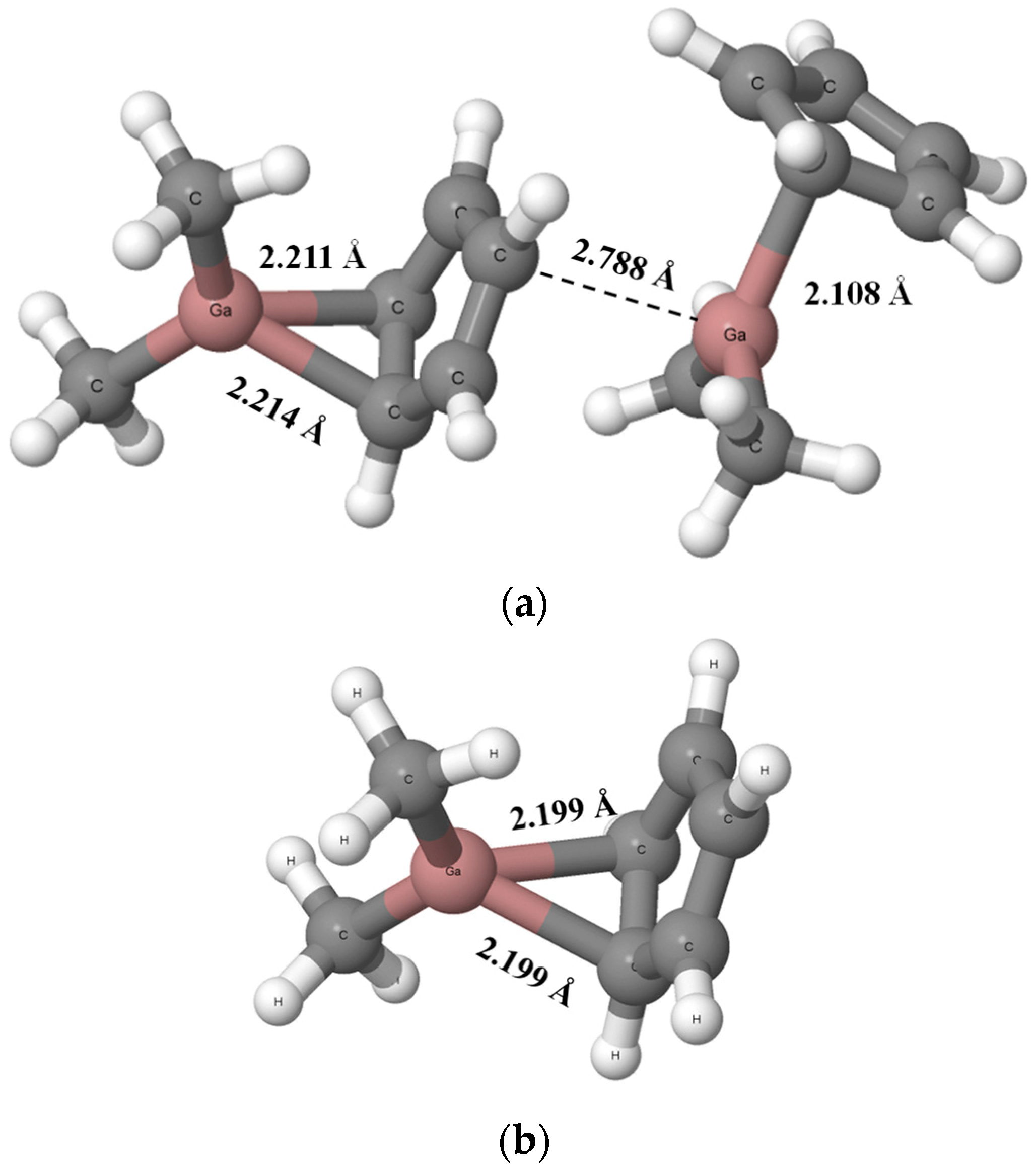 Ijms 24 12212 g004 Ijms 24 12212 g004