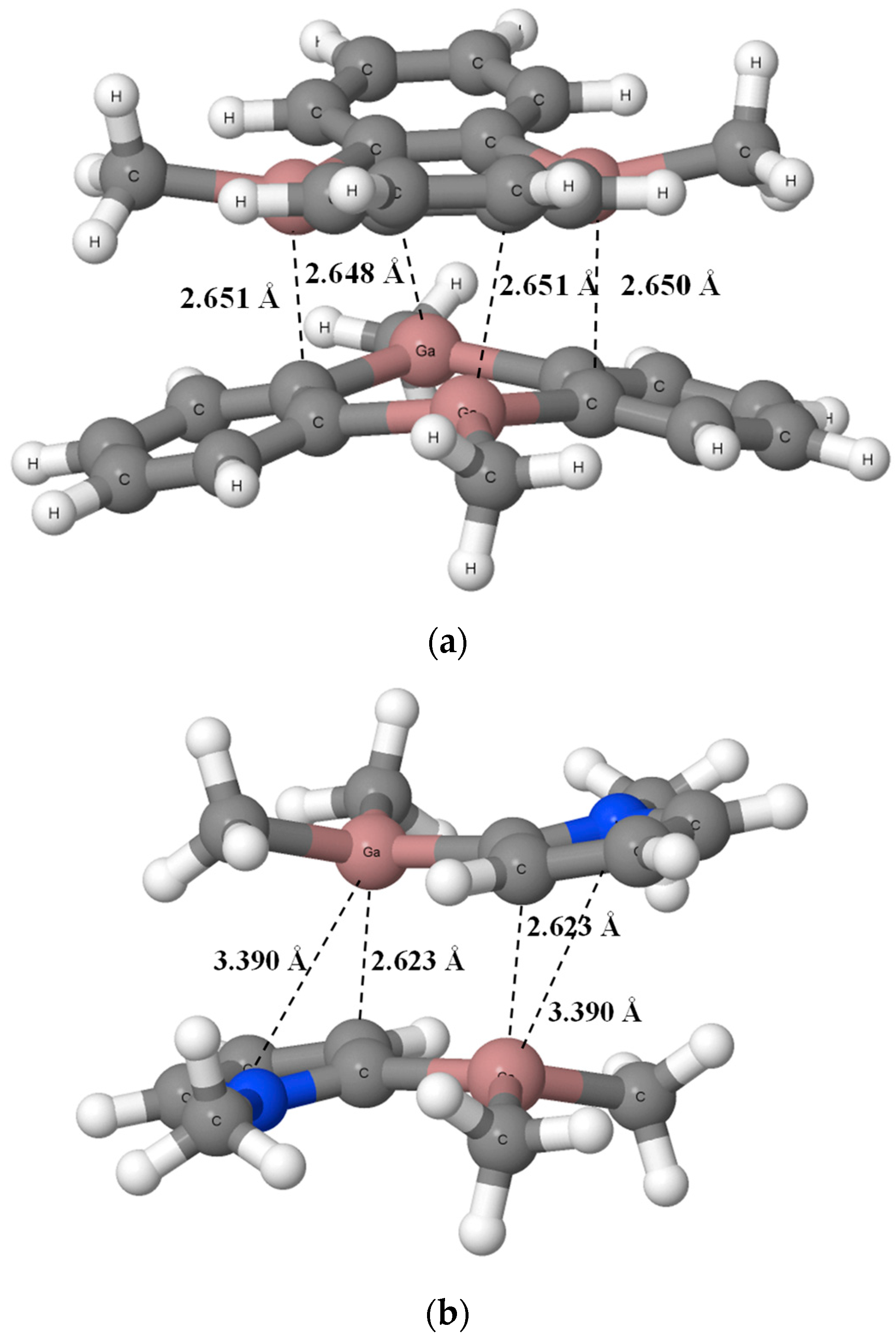 Ijms 24 12212 g005 Ijms 24 12212 g005