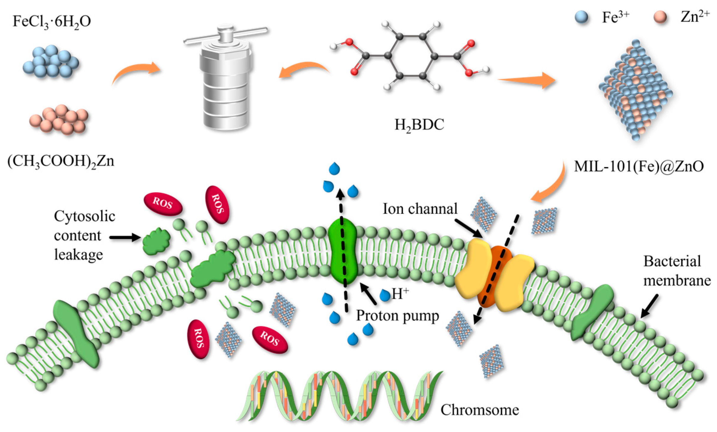 h20 zu h2o2 Mechanismus