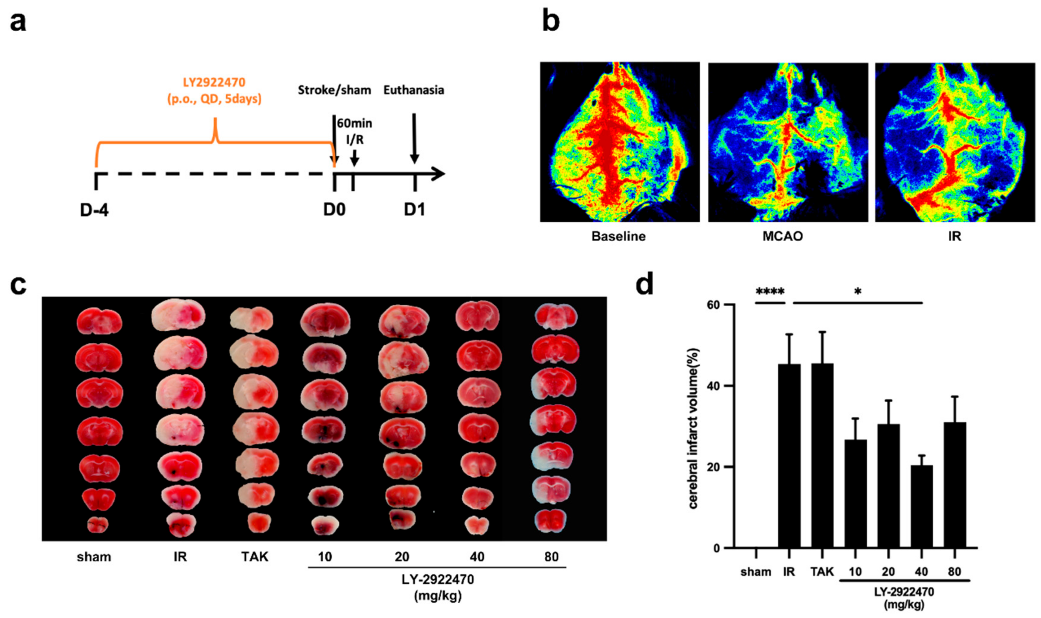 Ijms 24 12244 g002 Ijms 24 12244 g002