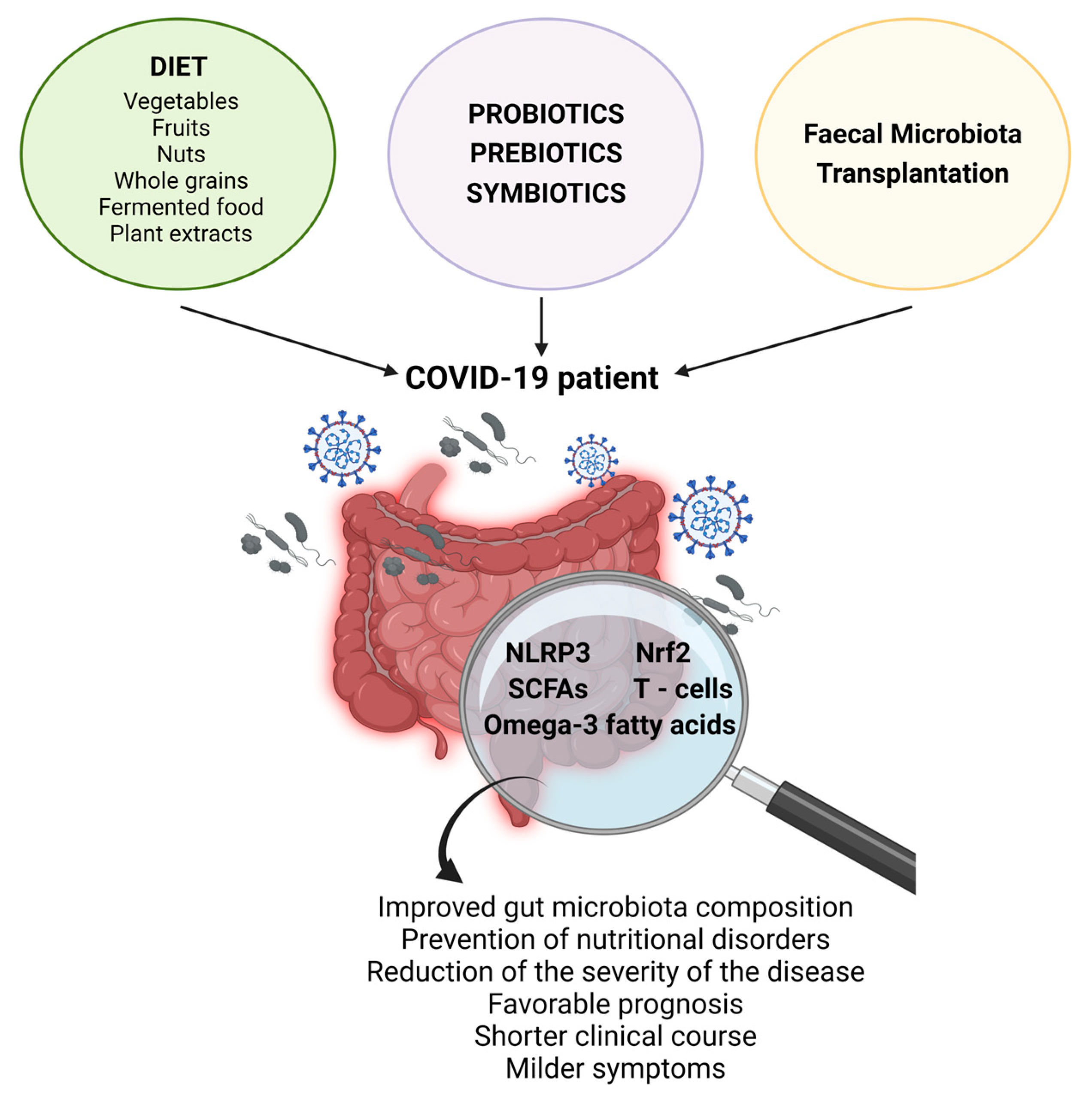 Gut microbiota‐derived synbiotic formula (SIM01) as a novel