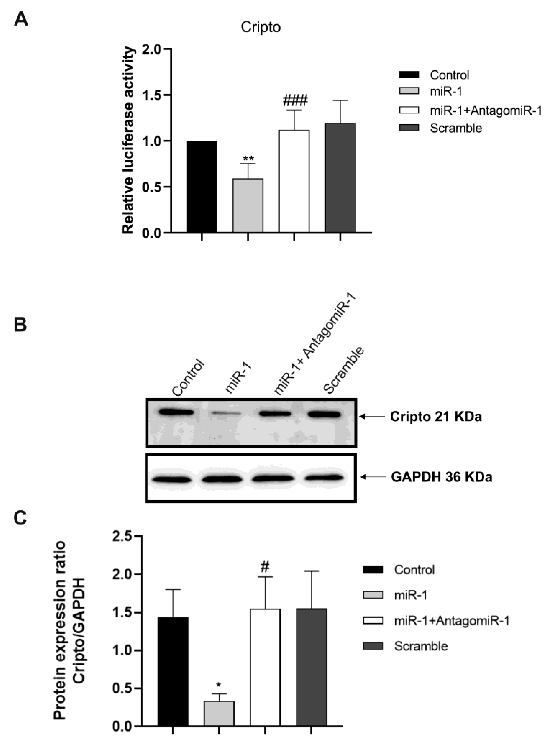 Ijms 24 12251 g002 Ijms 24 12251 g002