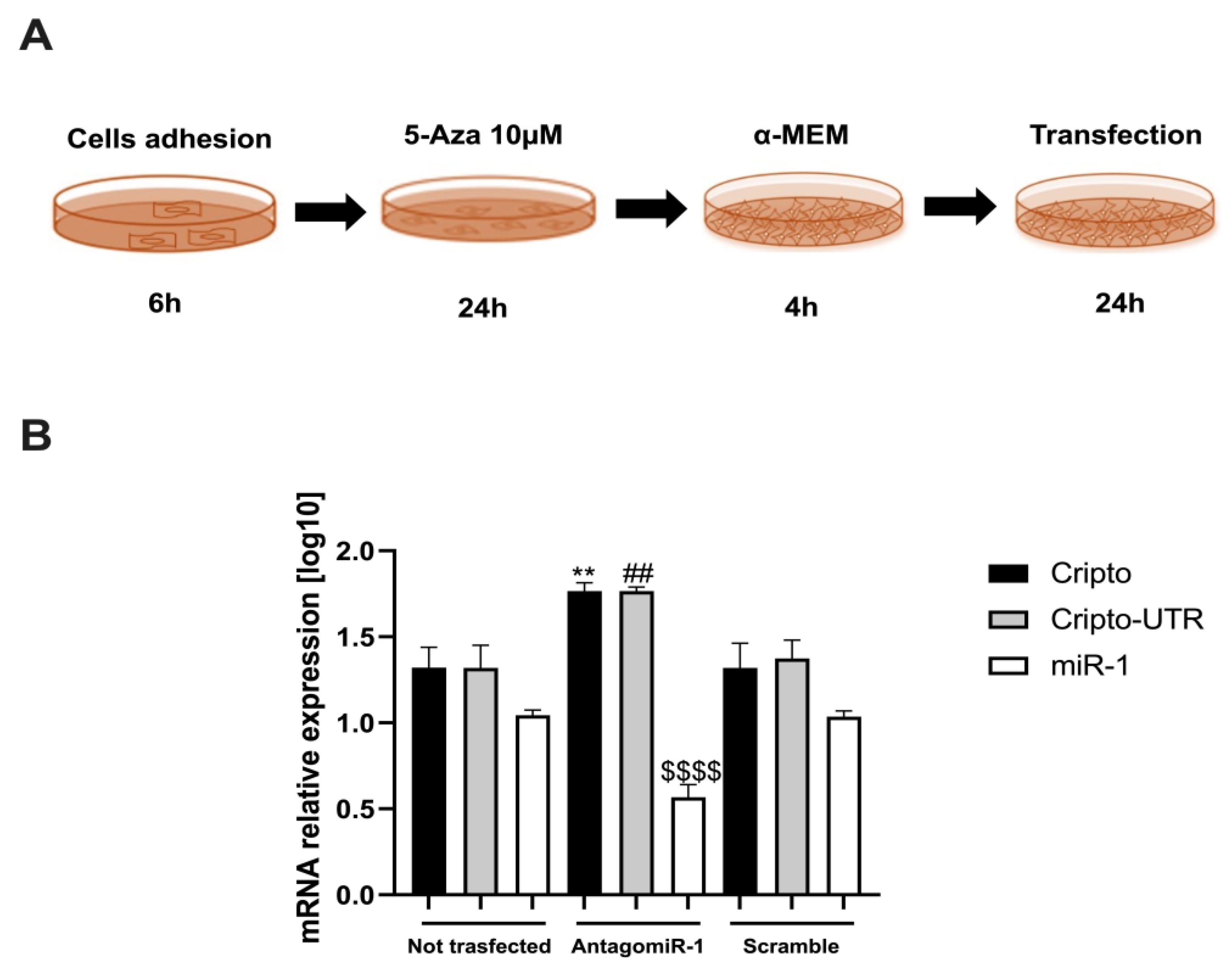 Ijms 24 12251 g006 Ijms 24 12251 g006