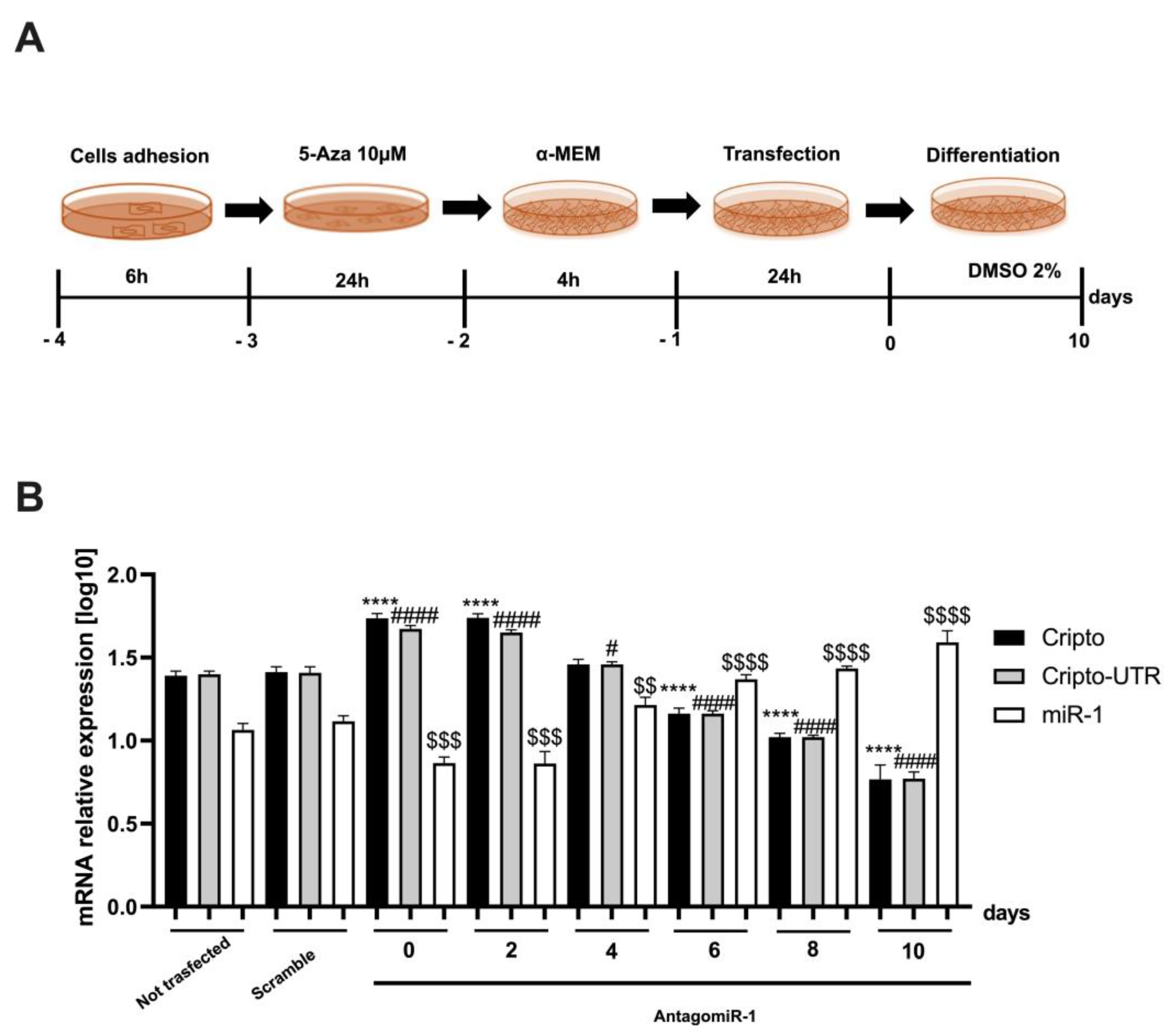 Ijms 24 12251 g007 Ijms 24 12251 g007