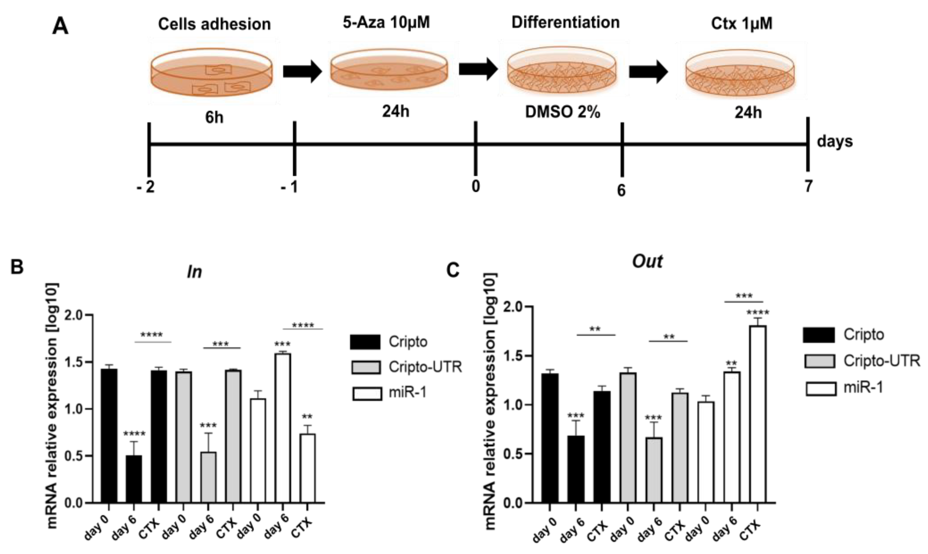 Ijms 24 12251 g008 Ijms 24 12251 g008