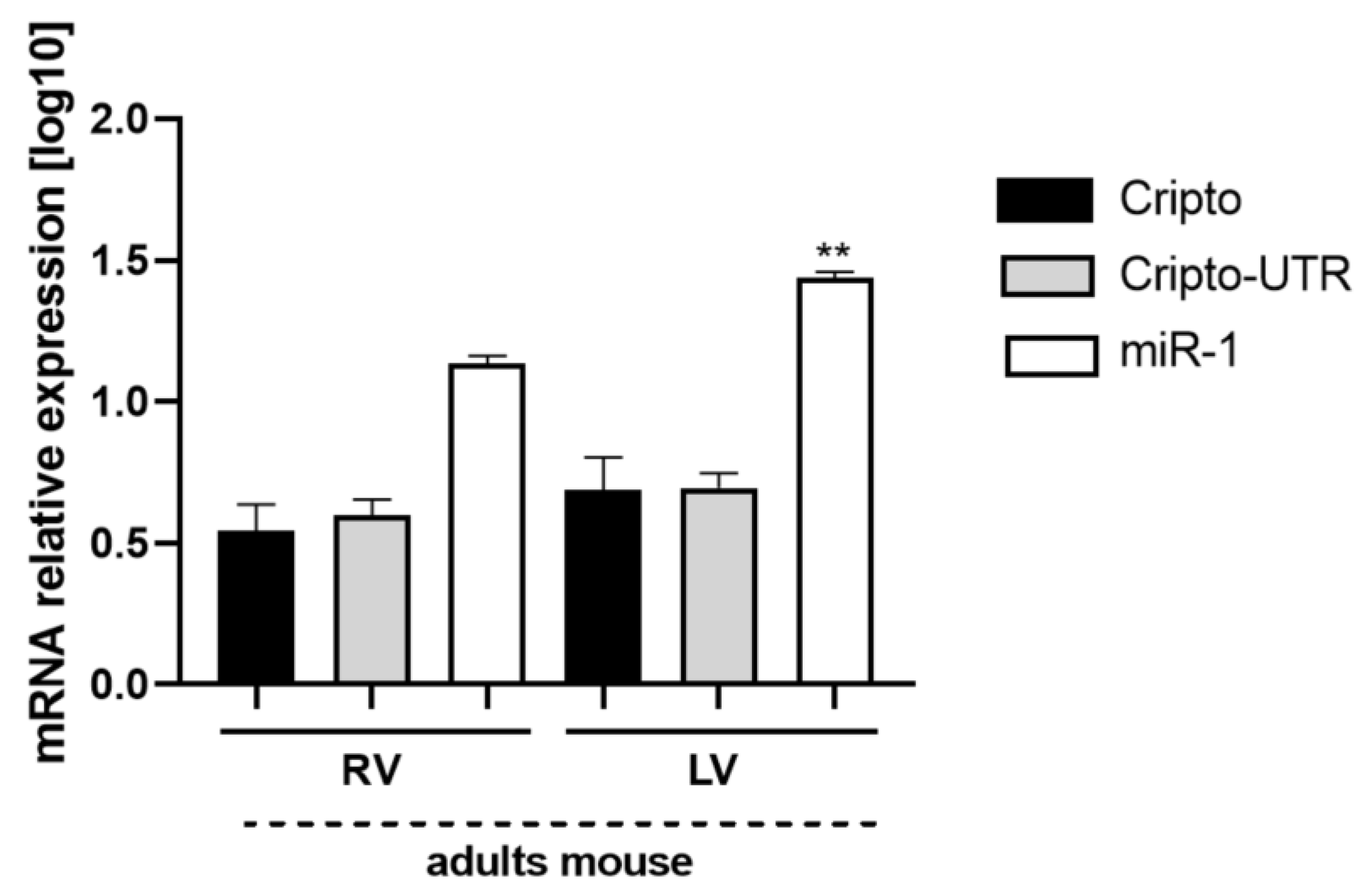 Ijms 24 12251 g010 Ijms 24 12251 g010