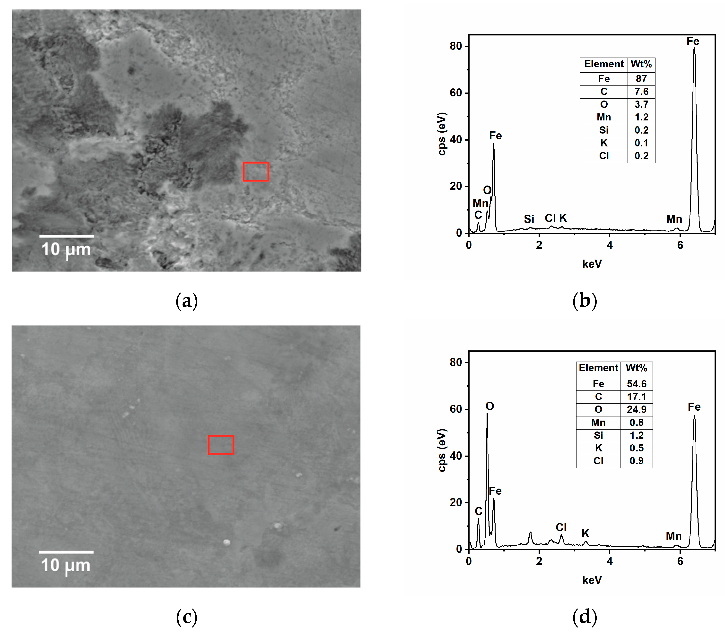 Ijms 24 12269 g009 Ijms 24 12269 g009