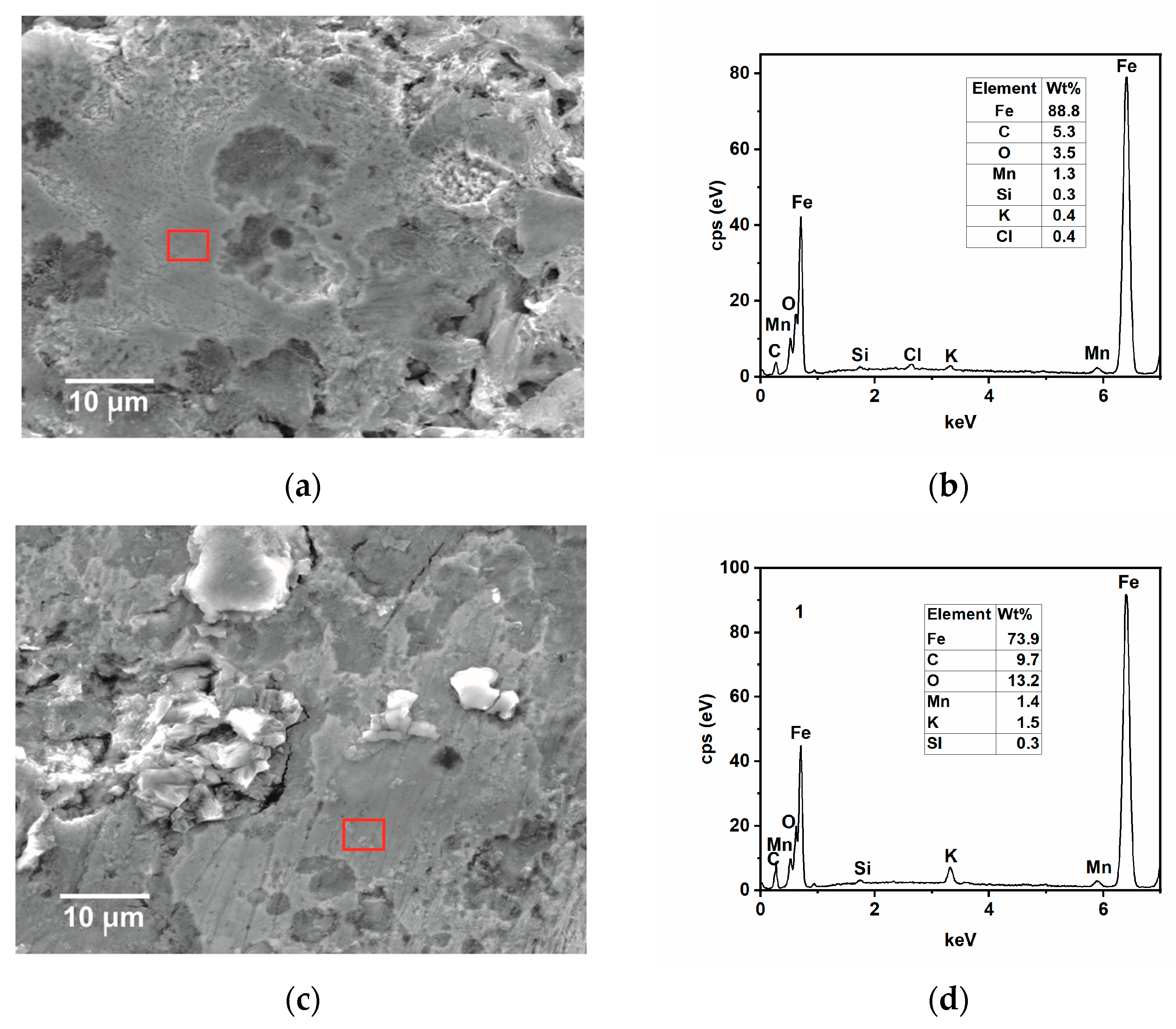 Ijms 24 12269 g010 Ijms 24 12269 g010