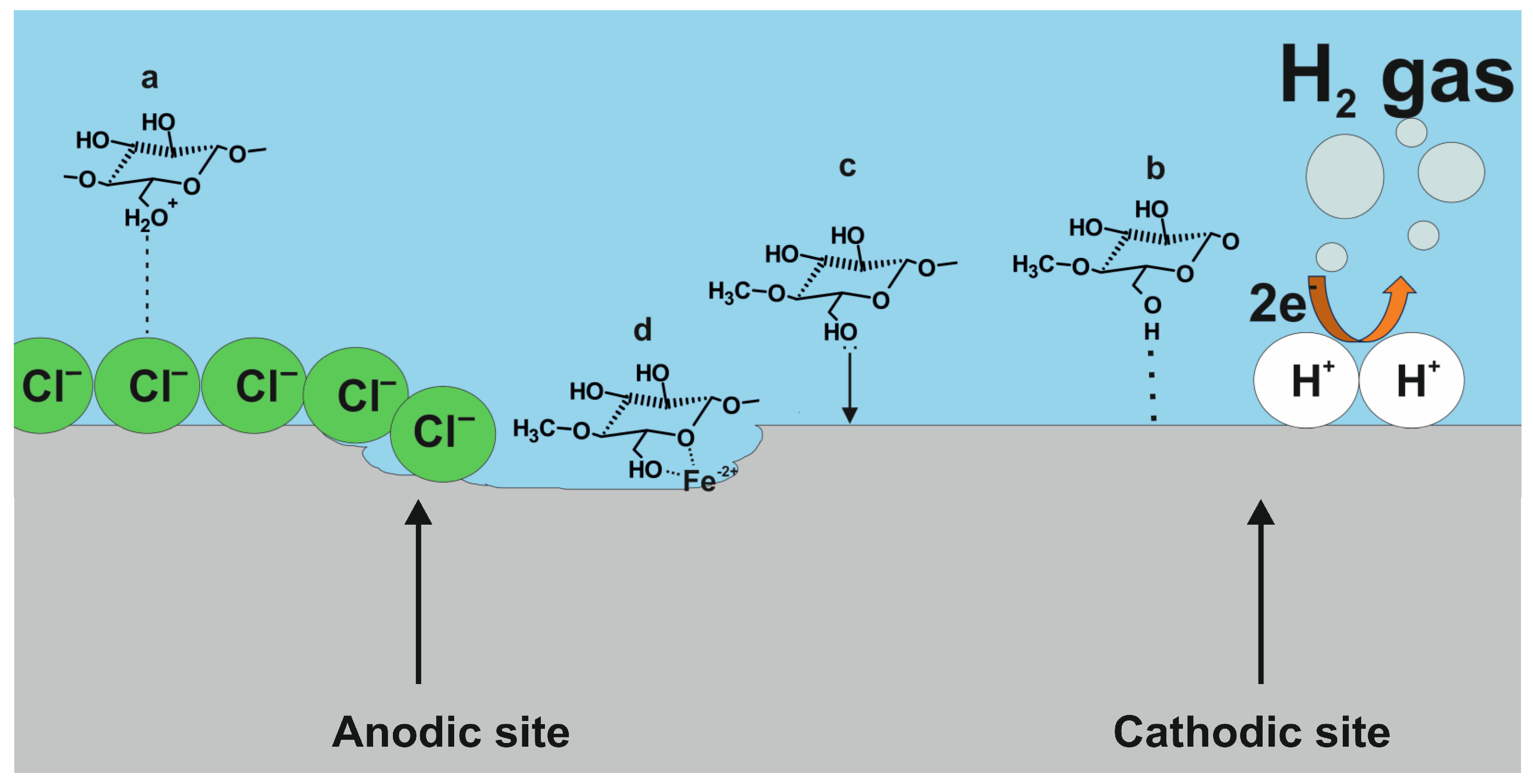 Ijms 24 12269 g012 Ijms 24 12269 g012
