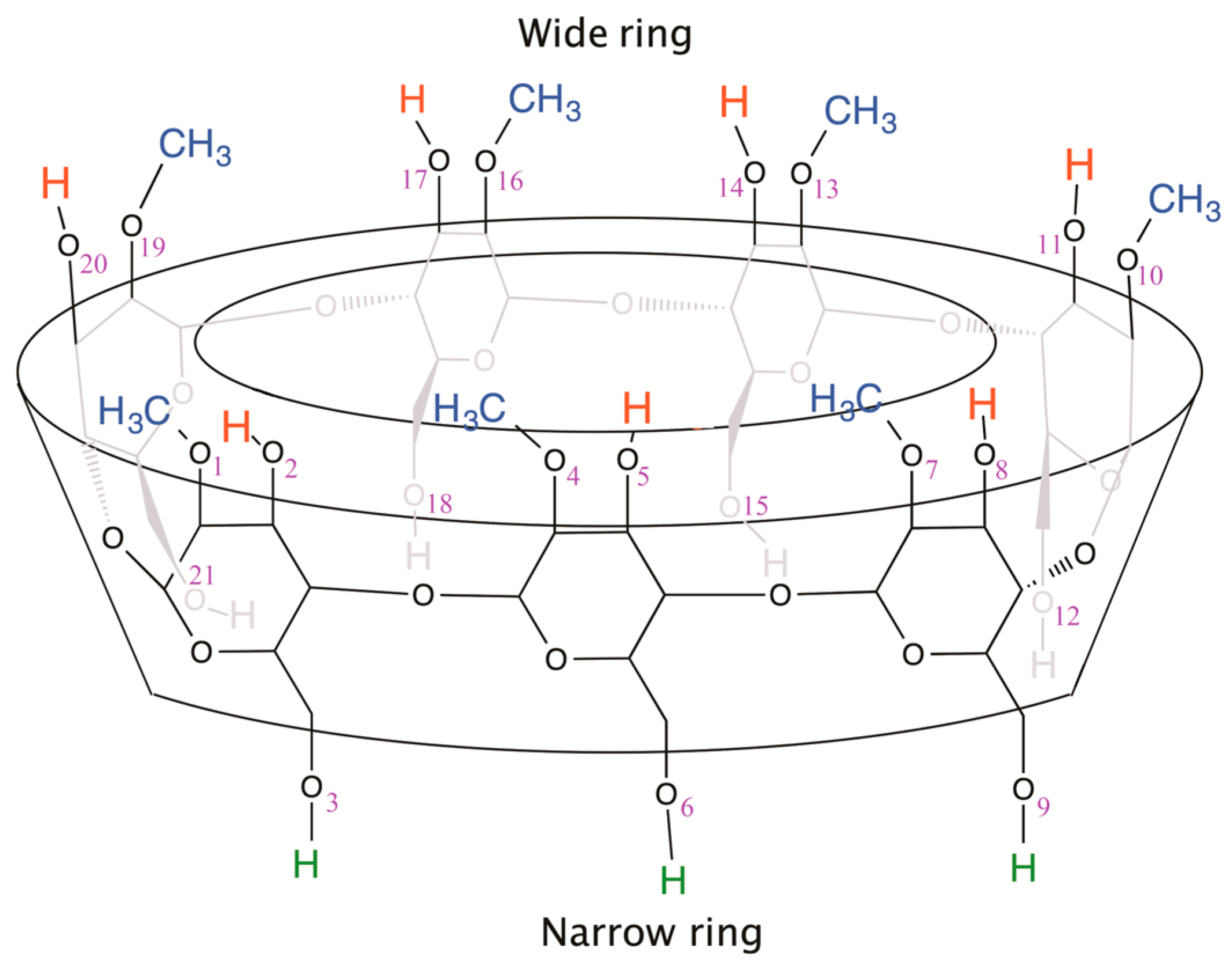 Ijms 24 12288 g001 Ijms 24 12288 g001