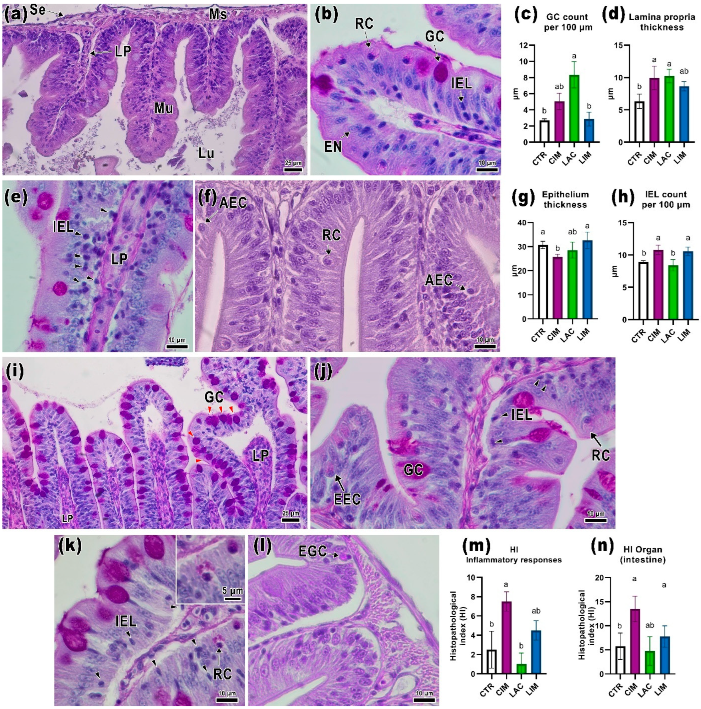 Ijms 24 12290 g002 Ijms 24 12290 g002