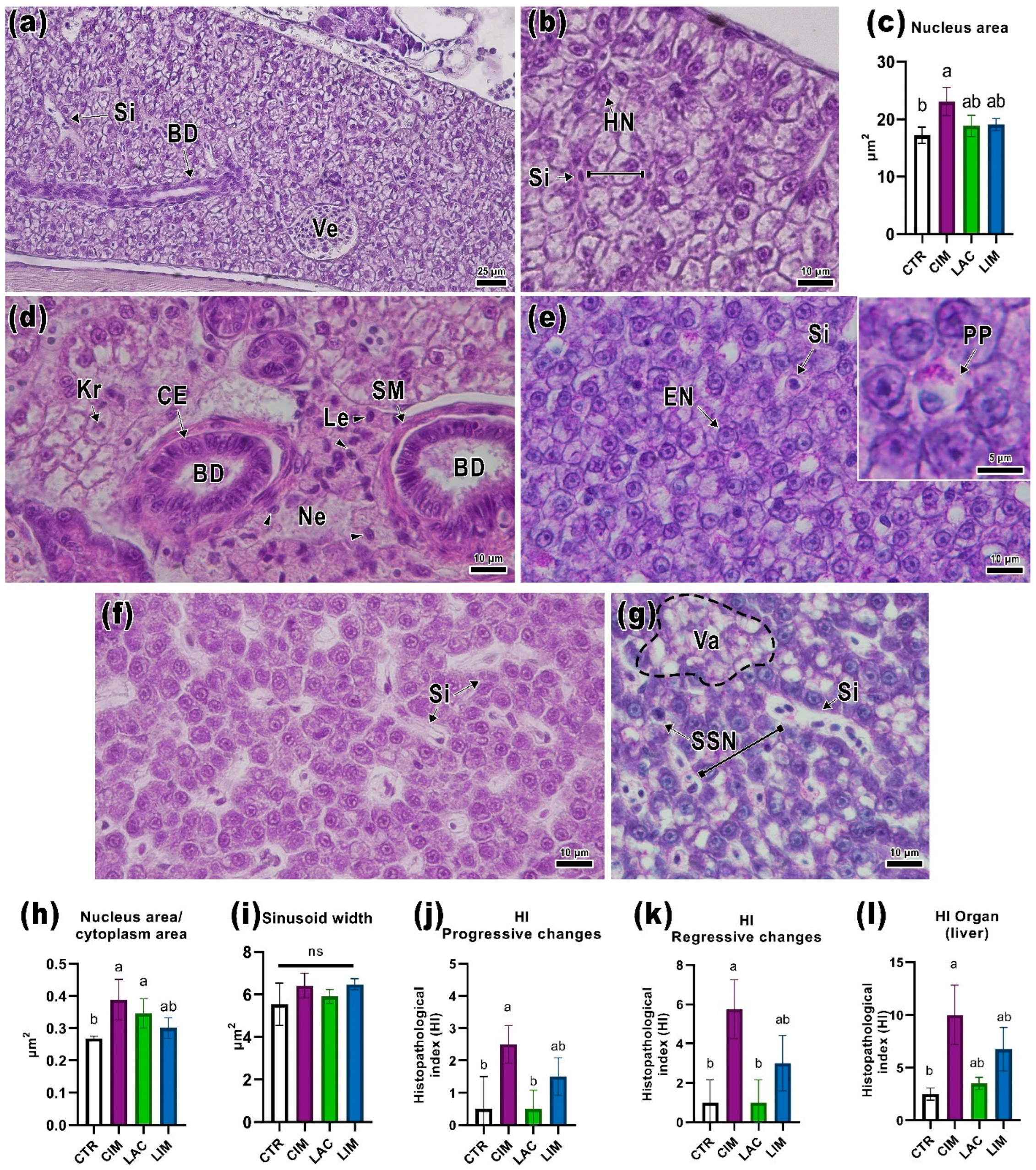 Ijms 24 12290 g003 Ijms 24 12290 g003
