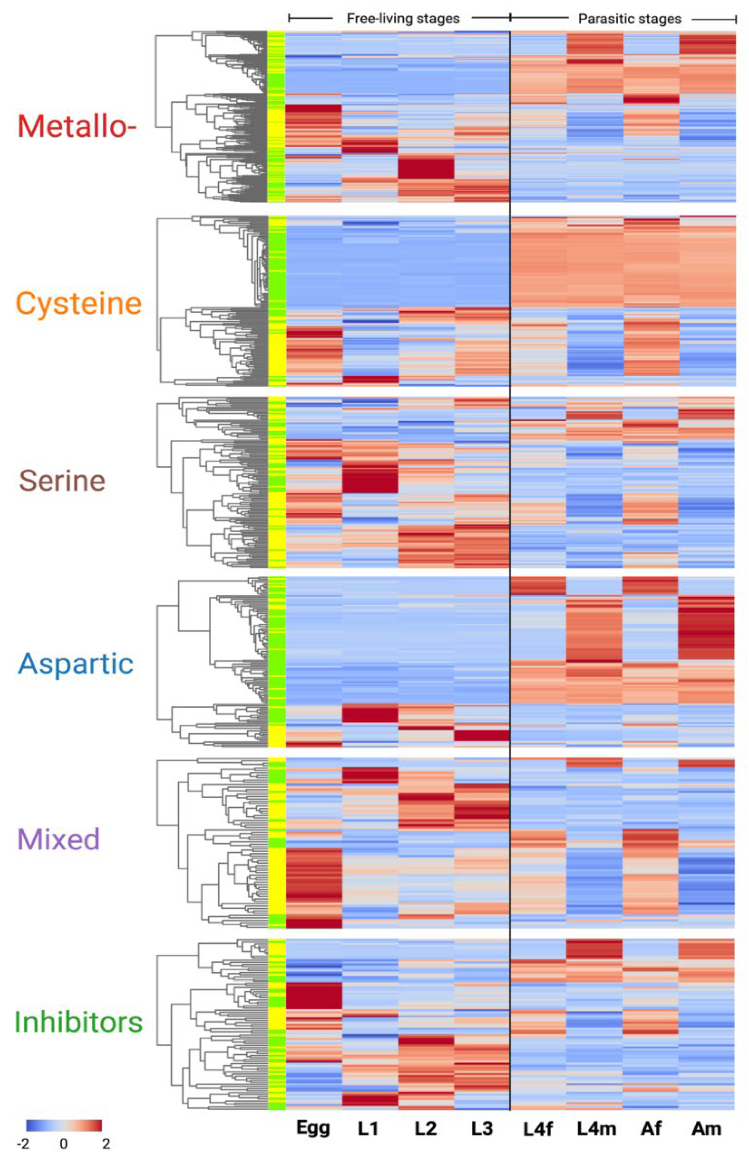 Ijms 24 12320 g003 Ijms 24 12320 g003