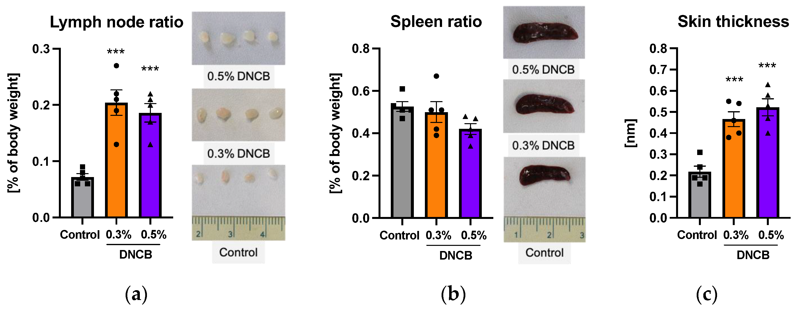 Ijms 24 12325 g002 Ijms 24 12325 g002