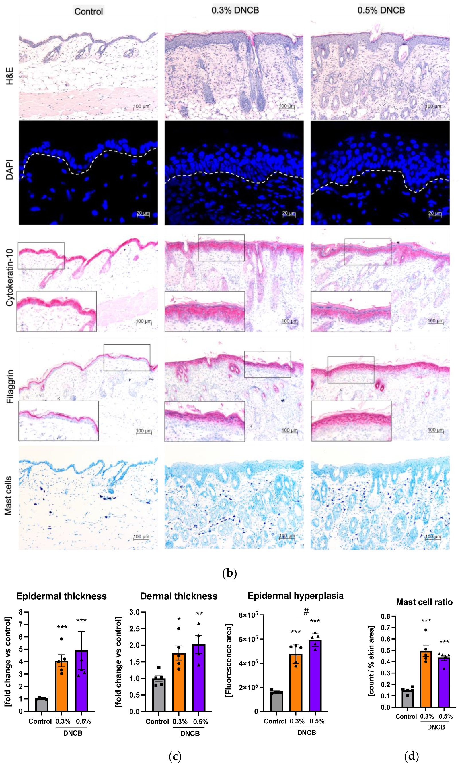 Ijms 24 12325 g003b Ijms 24 12325 g003b