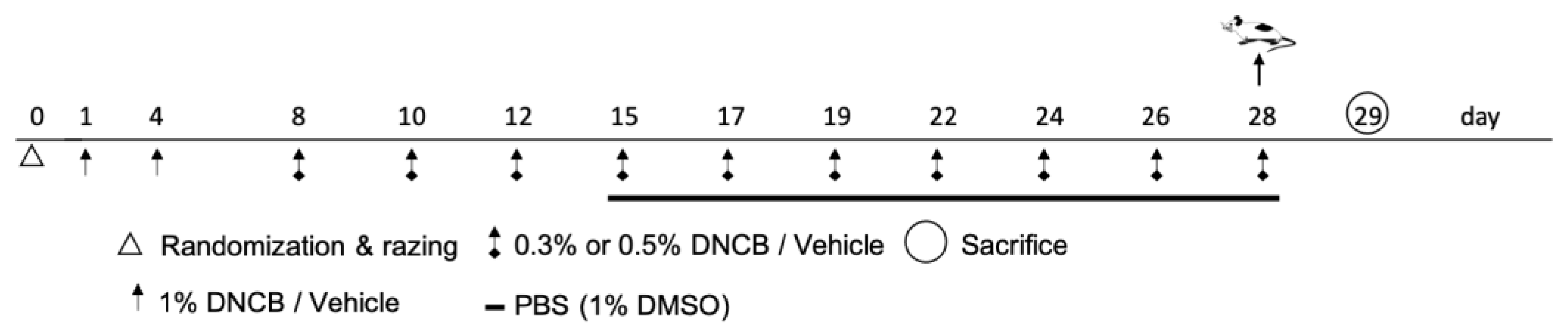 Ijms 24 12325 g007 Ijms 24 12325 g007