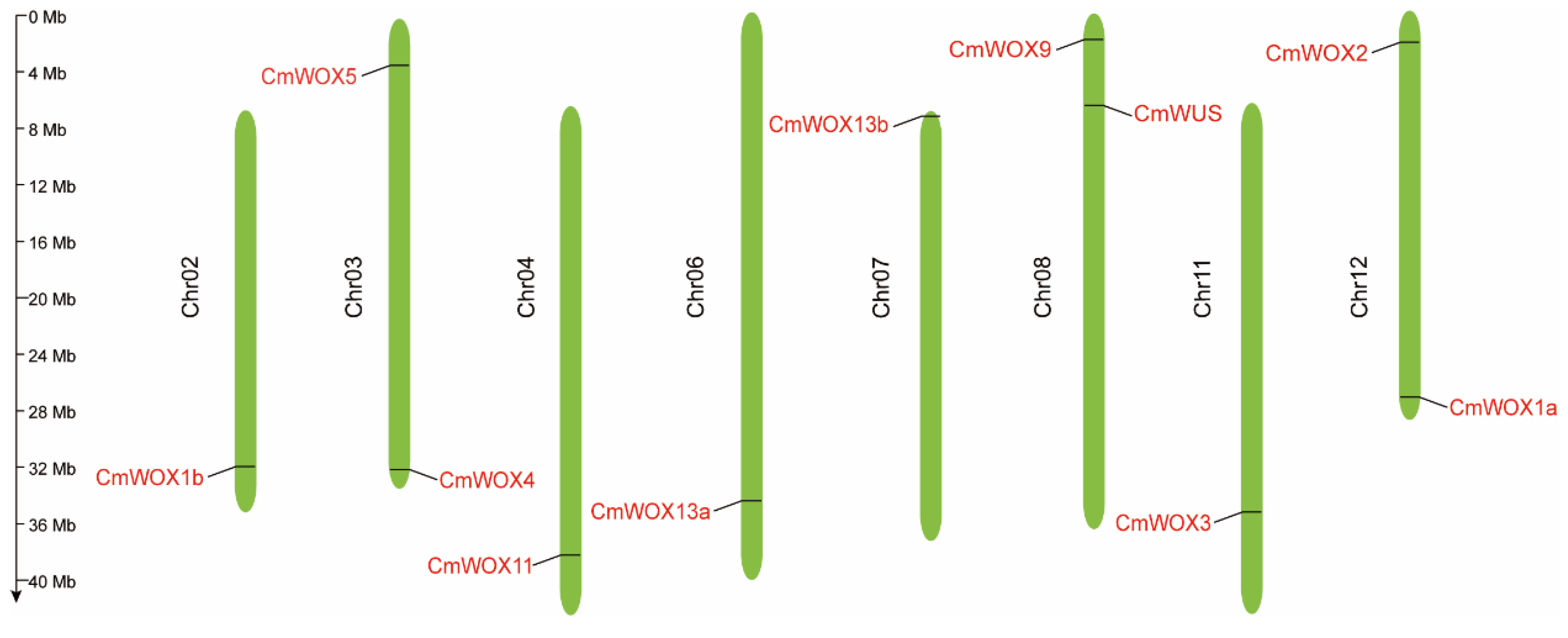 Ijms 24 12326 g002 Ijms 24 12326 g002