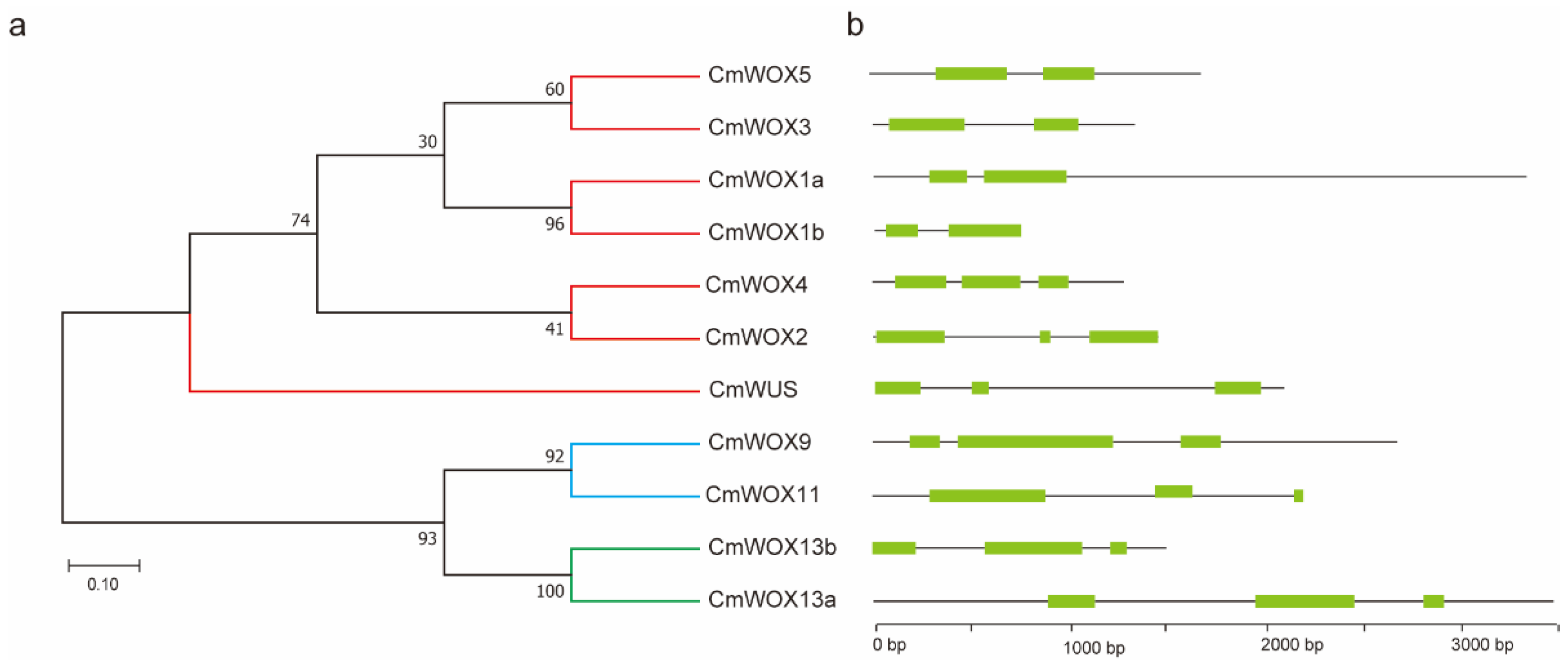 Ijms 24 12326 g003 Ijms 24 12326 g003