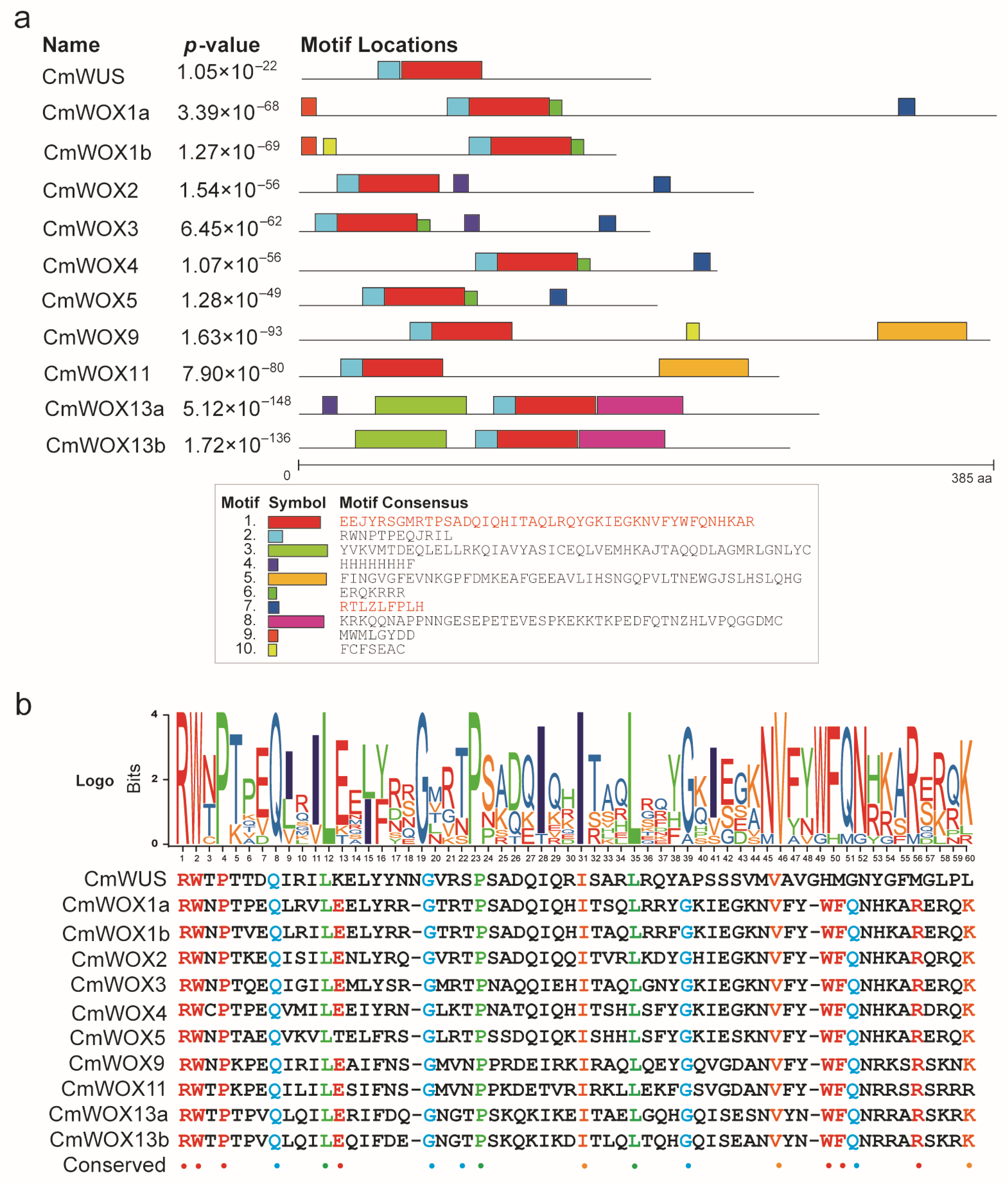 Ijms 24 12326 g004 Ijms 24 12326 g004