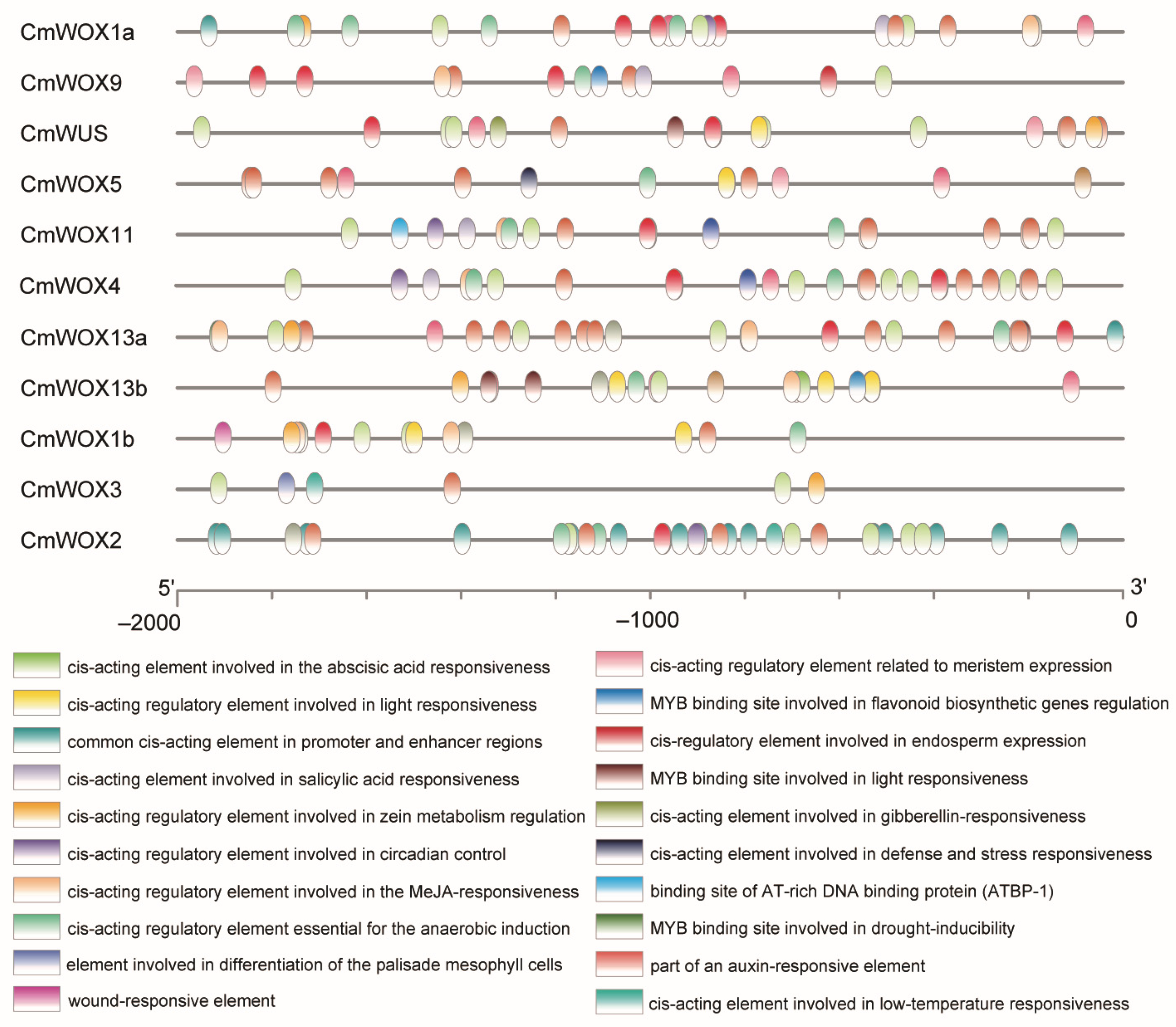 Ijms 24 12326 g005 Ijms 24 12326 g005