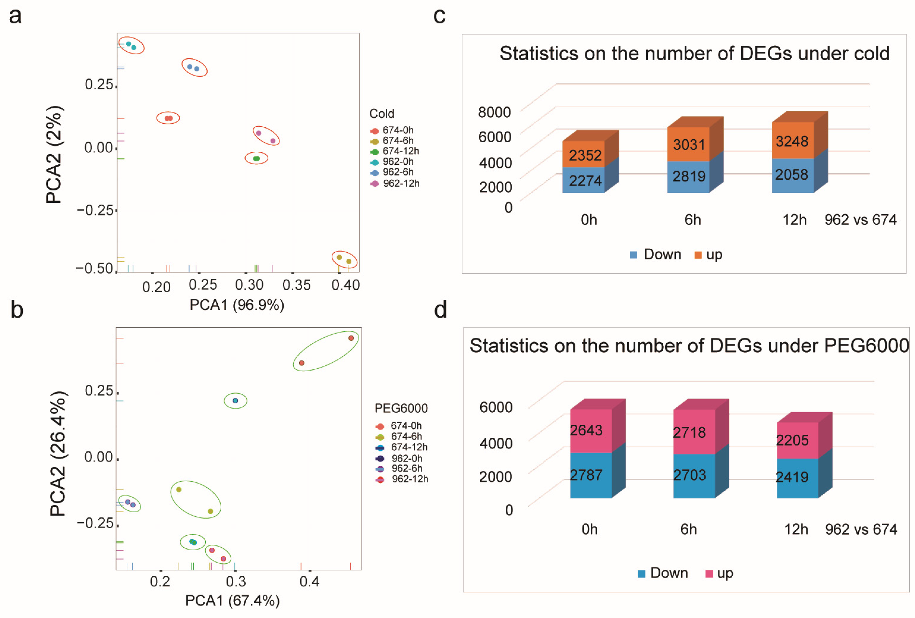 Ijms 24 12326 g006 Ijms 24 12326 g006