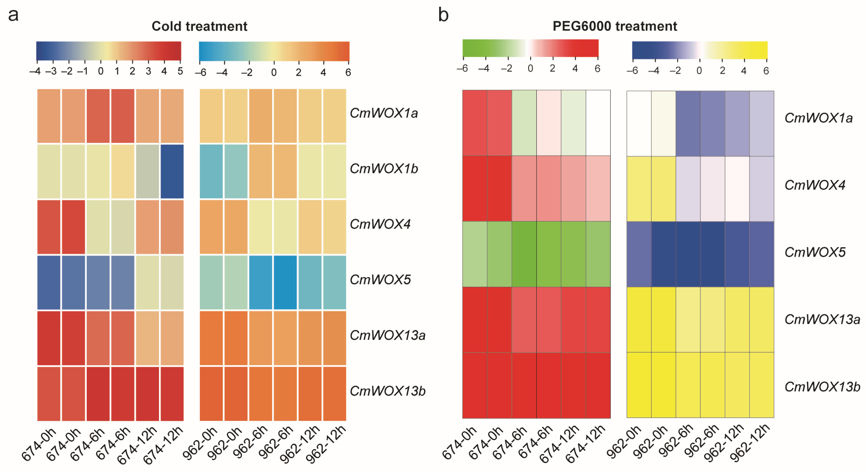 Ijms 24 12326 g007 Ijms 24 12326 g007