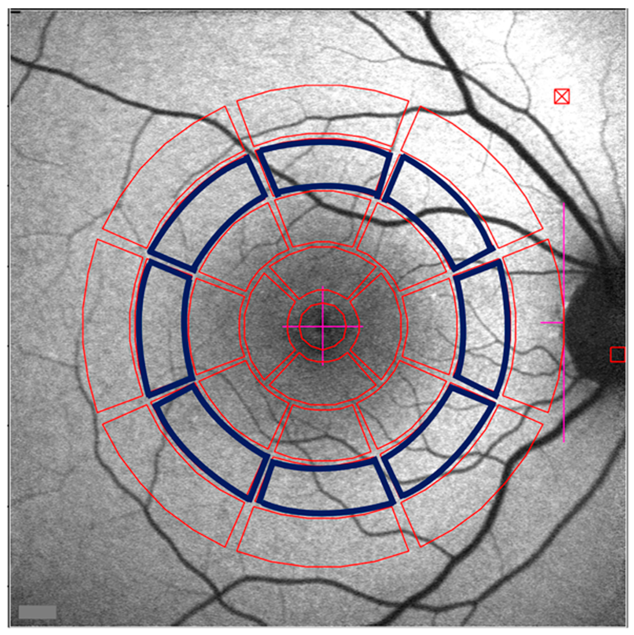 Ijms 24 12327 g001 Ijms 24 12327 g001