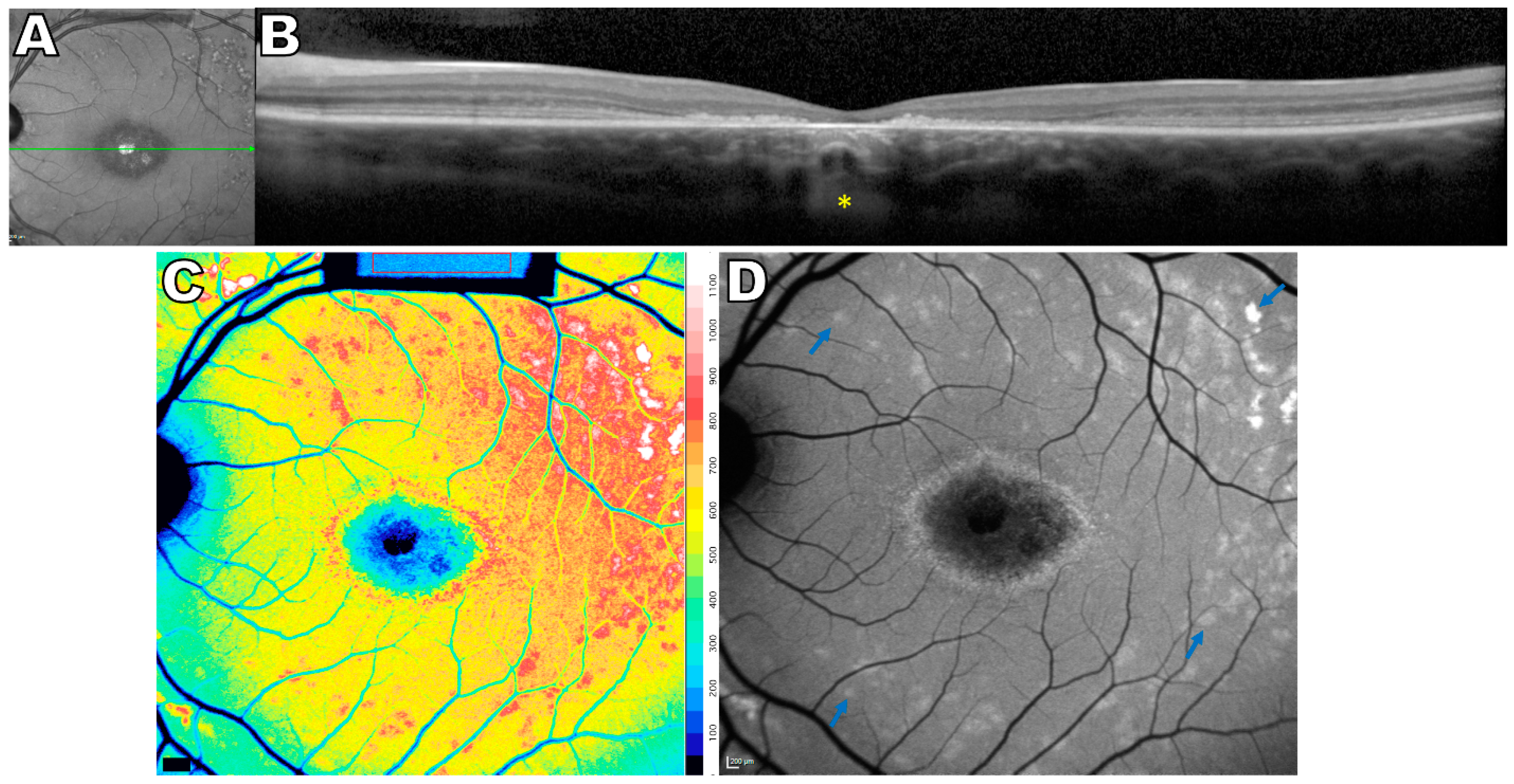 Ijms 24 12327 g002 Ijms 24 12327 g002