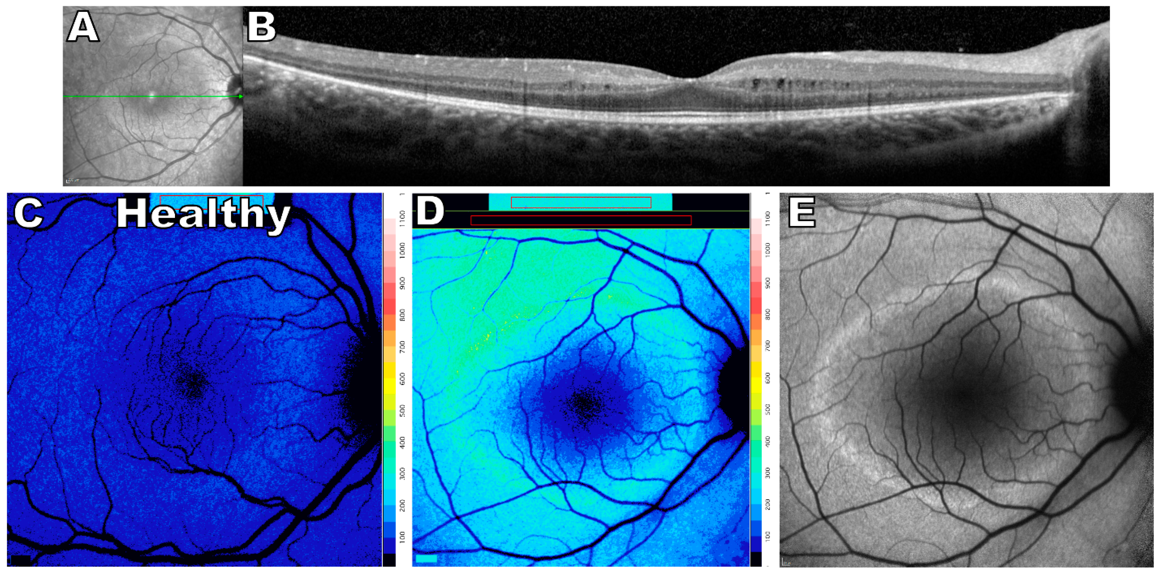 Ijms 24 12327 g005 Ijms 24 12327 g005