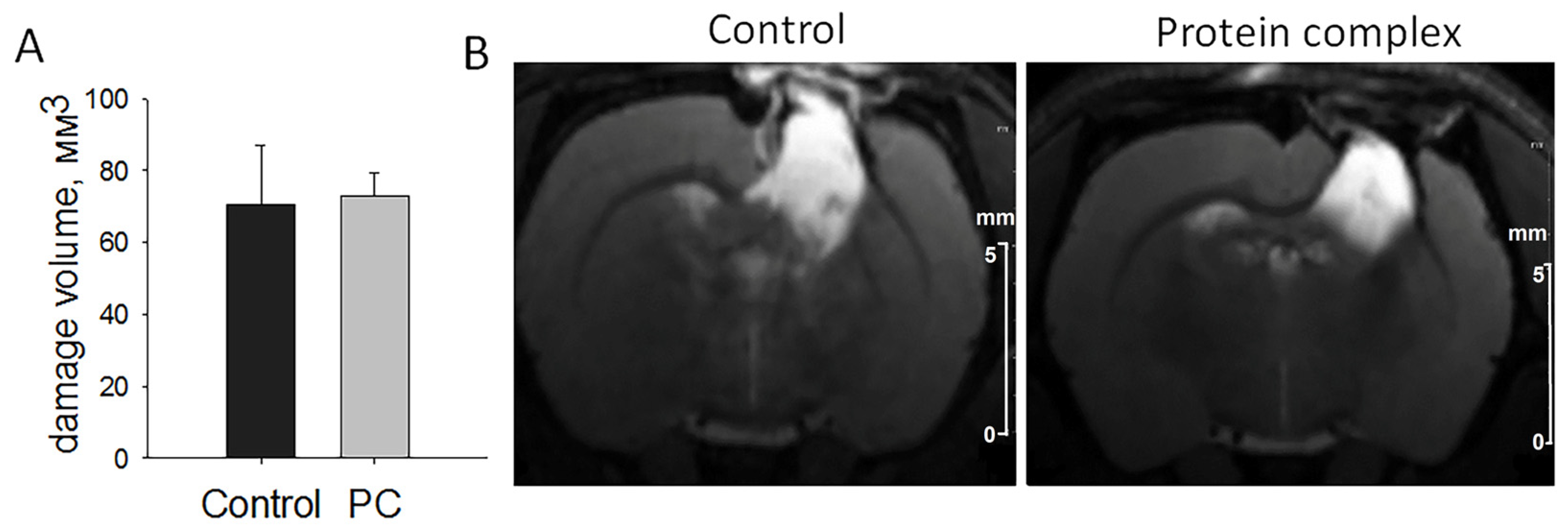 Ijms 24 12341 g002 Ijms 24 12341 g002