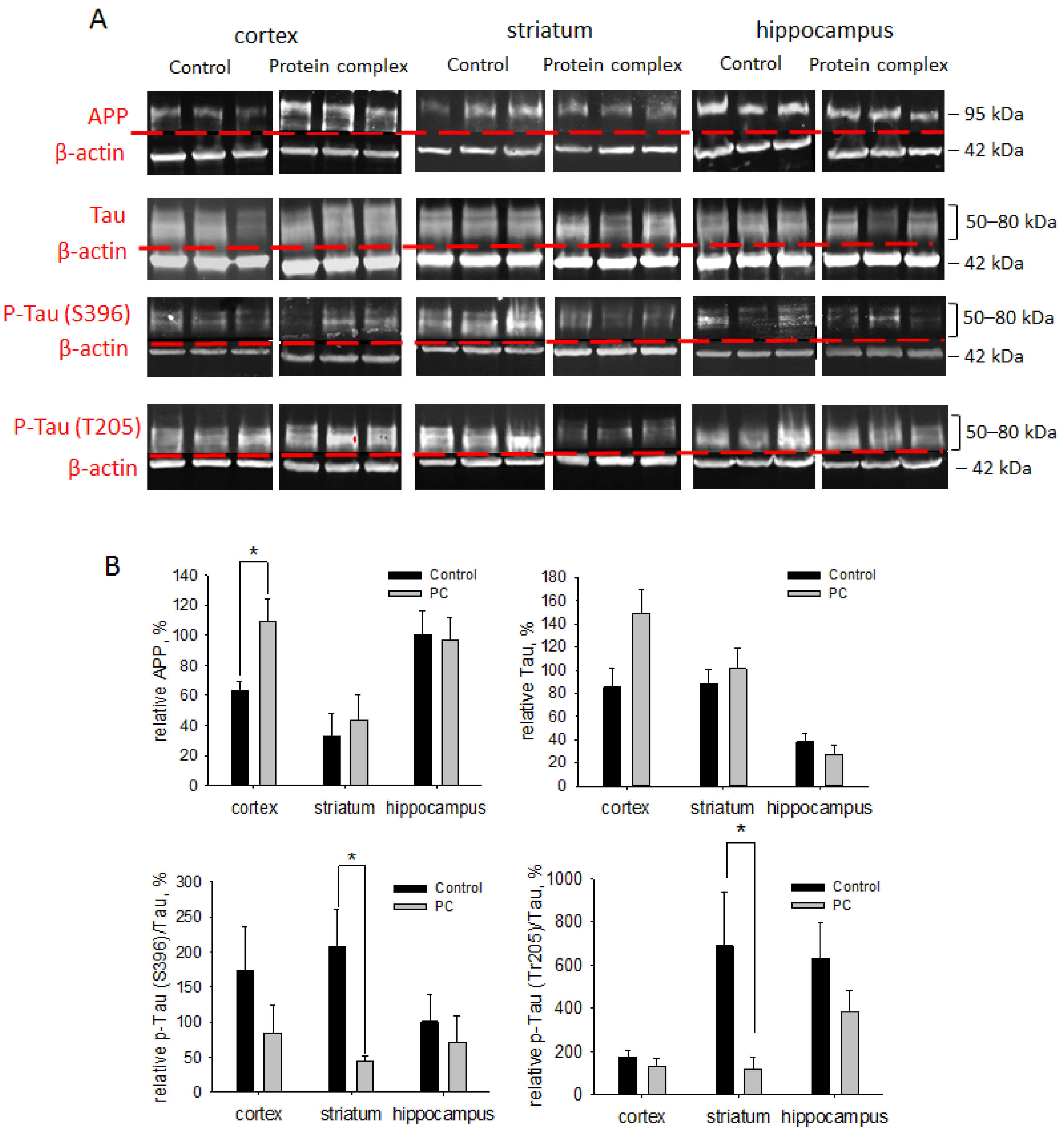 Ijms 24 12341 g007 Ijms 24 12341 g007