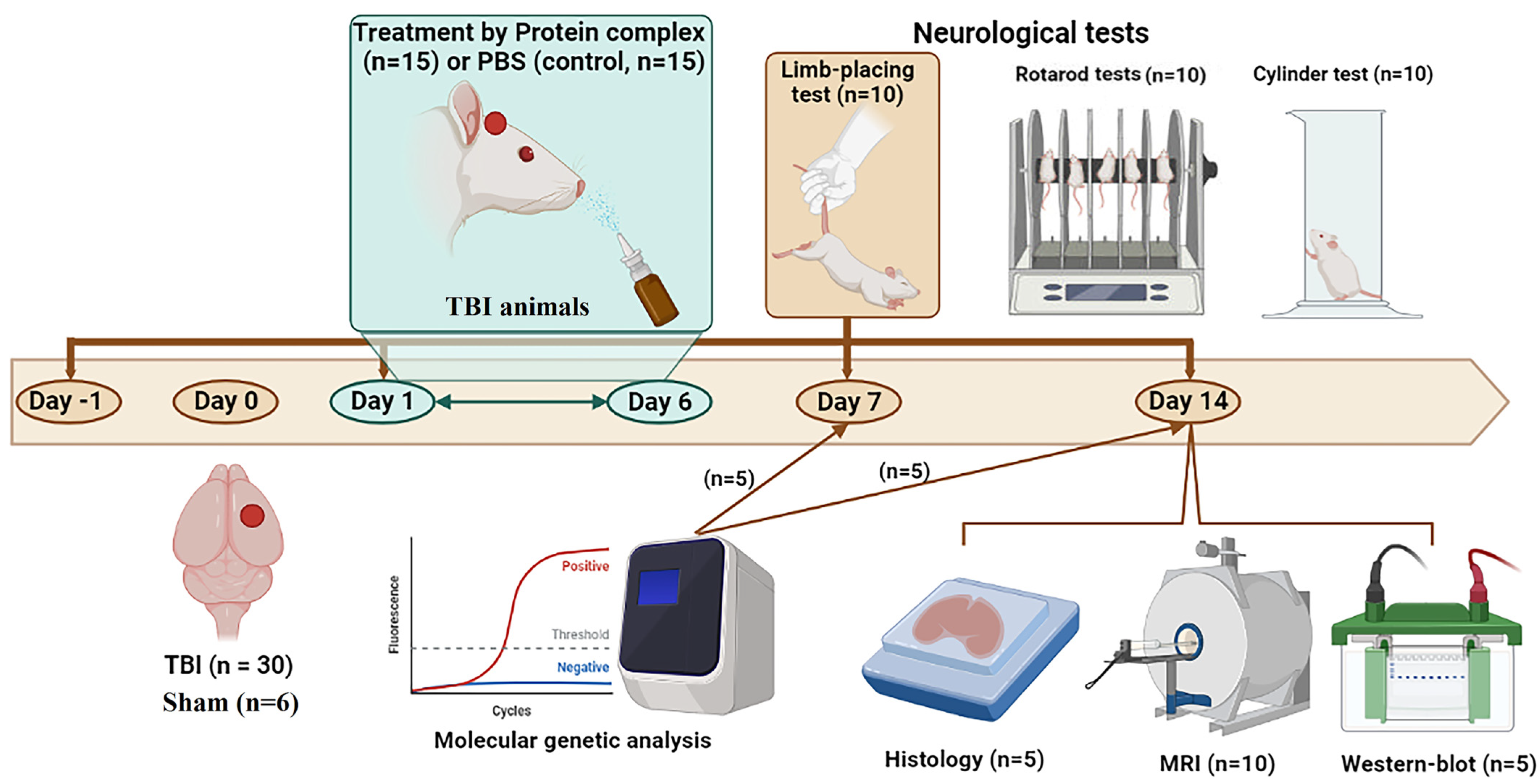 Ijms 24 12341 g008 Ijms 24 12341 g008