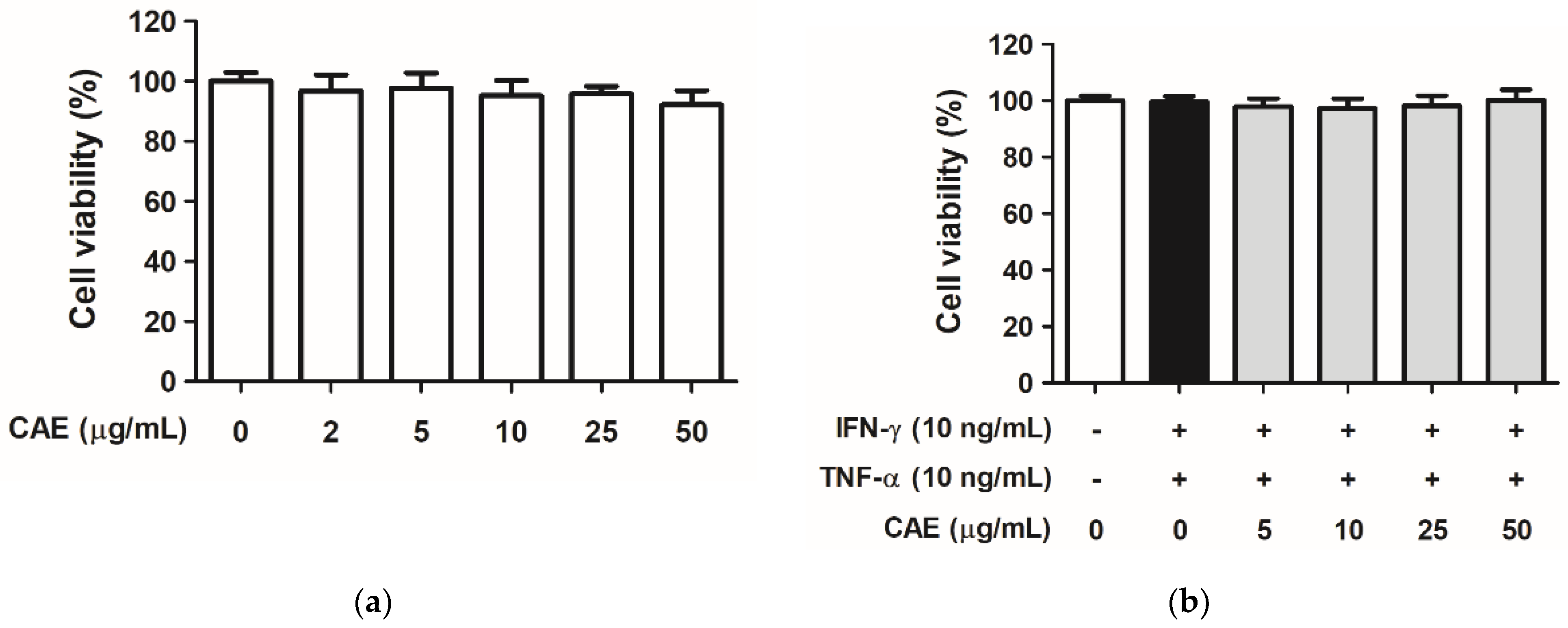 Ijms 24 12367 g001 Ijms 24 12367 g001