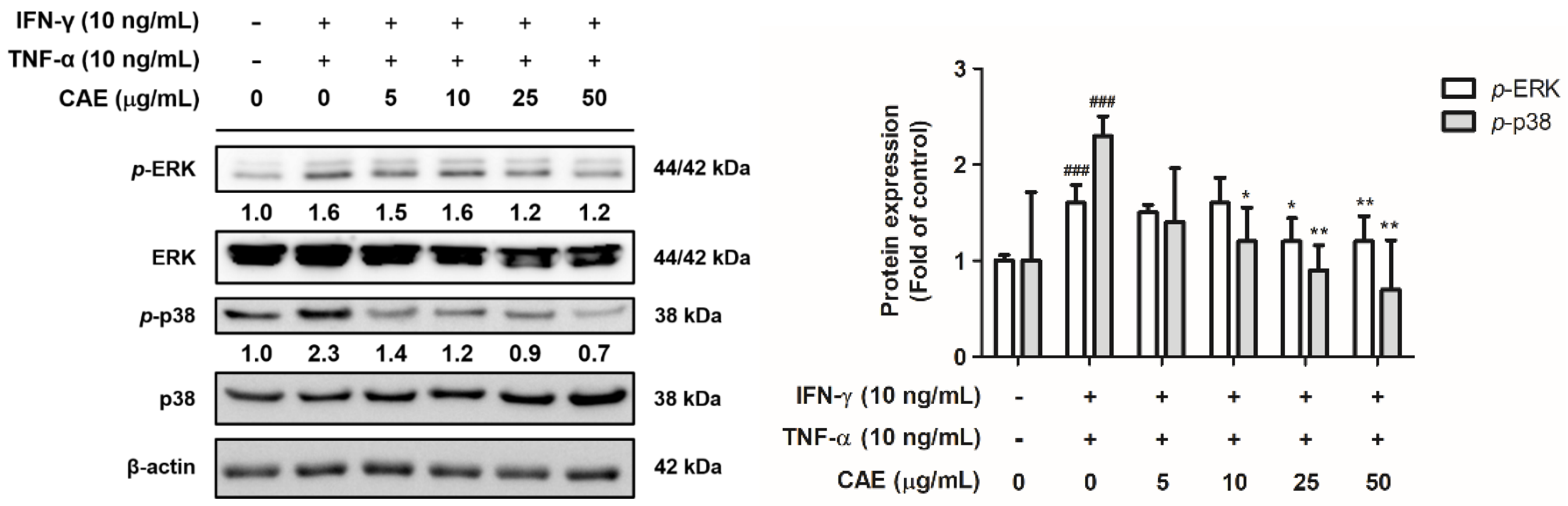 Ijms 24 12367 g003 Ijms 24 12367 g003