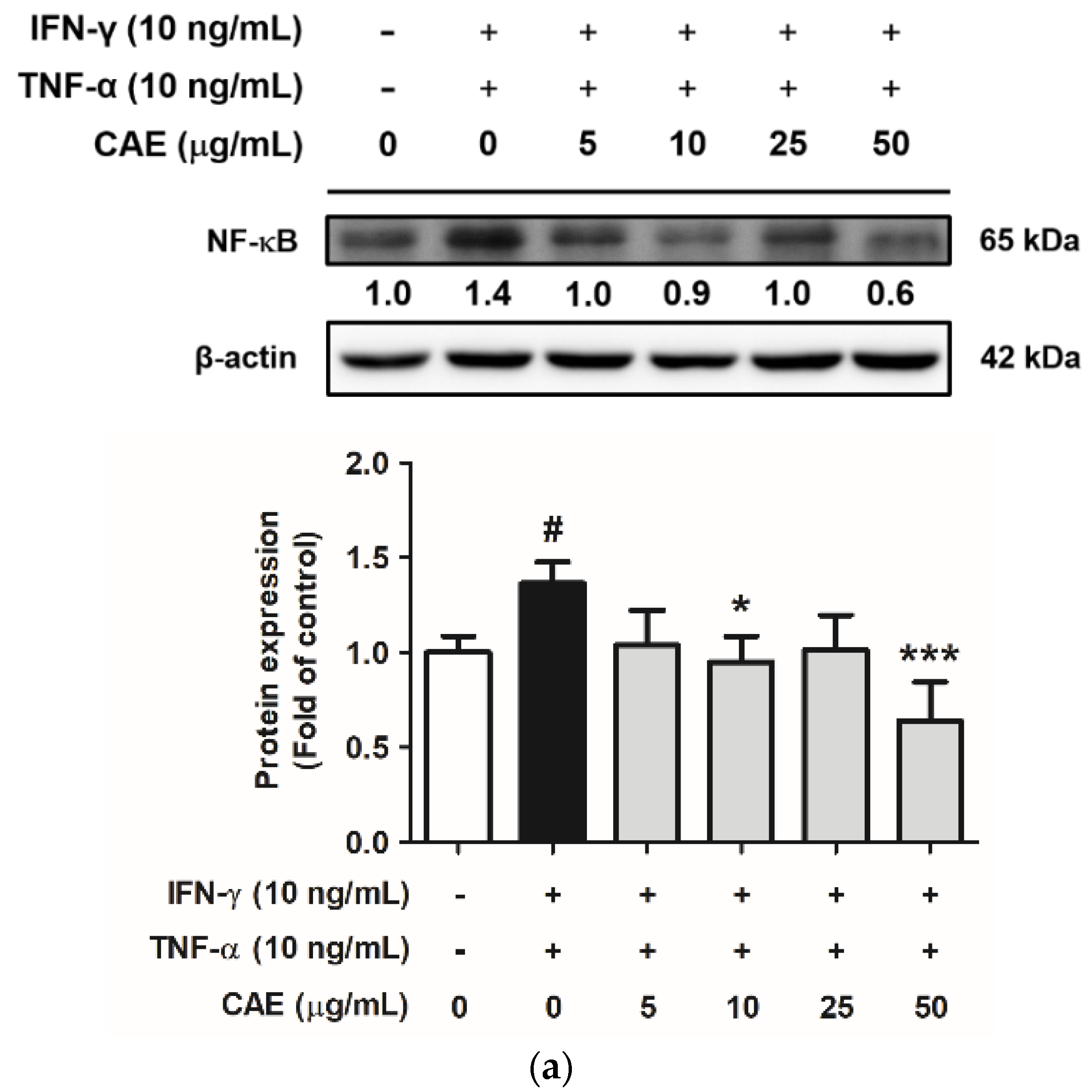 Ijms 24 12367 g004a Ijms 24 12367 g004a