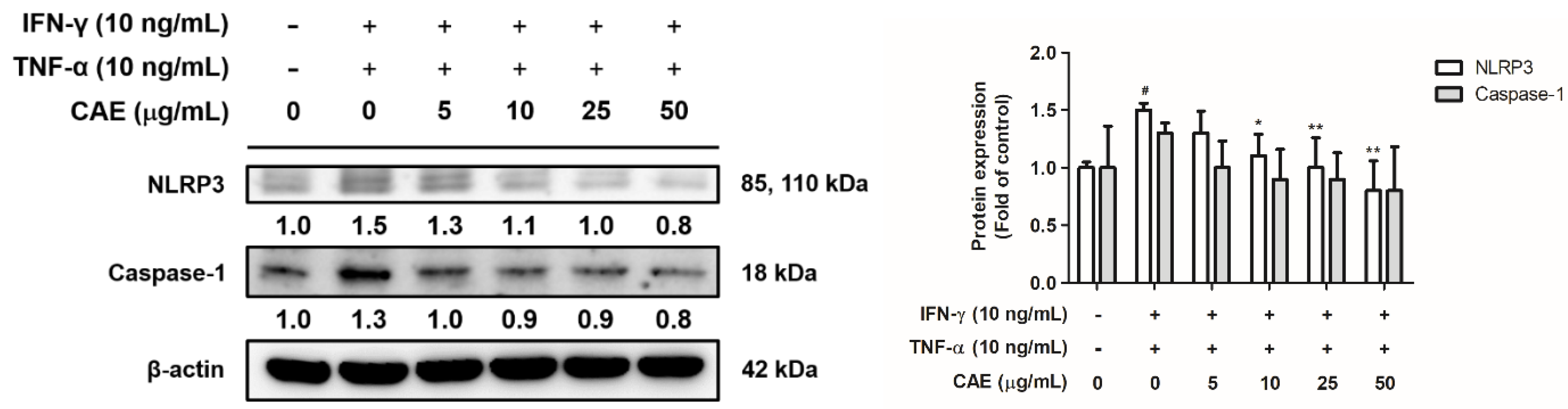 Ijms 24 12367 g005 Ijms 24 12367 g005