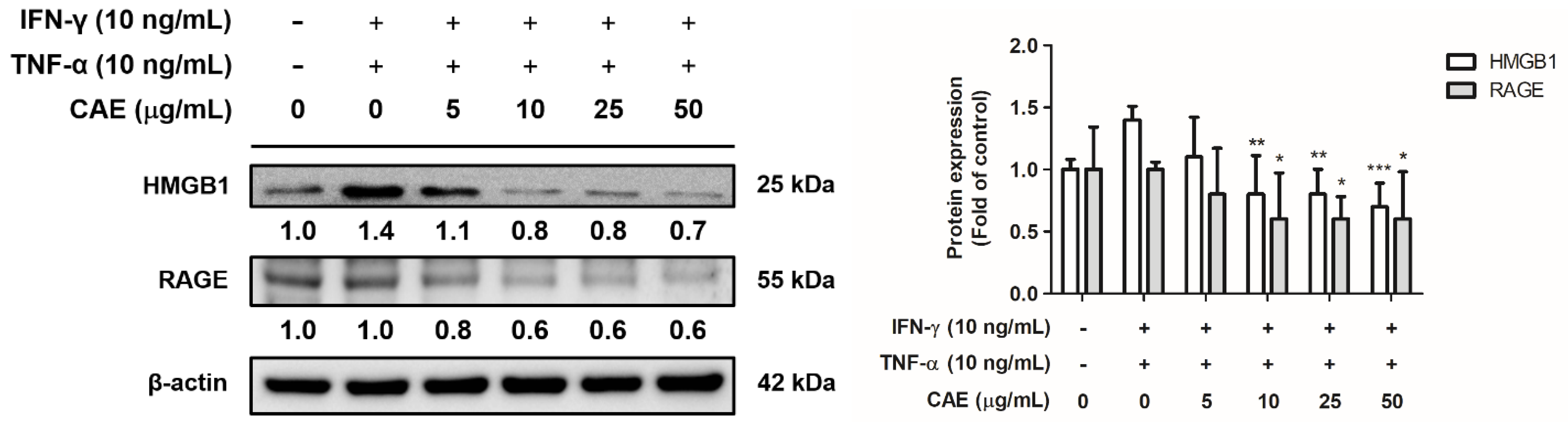 Ijms 24 12367 g007 Ijms 24 12367 g007
