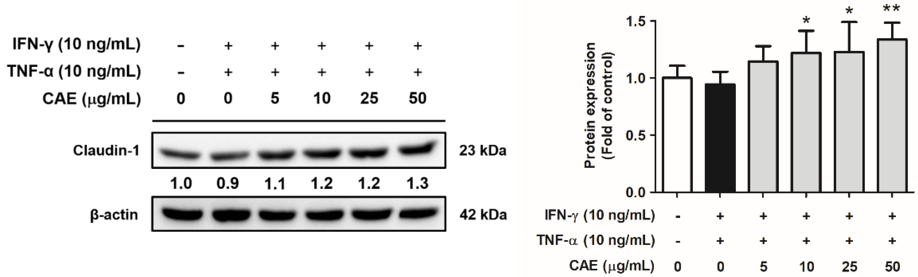 Ijms 24 12367 g009 Ijms 24 12367 g009