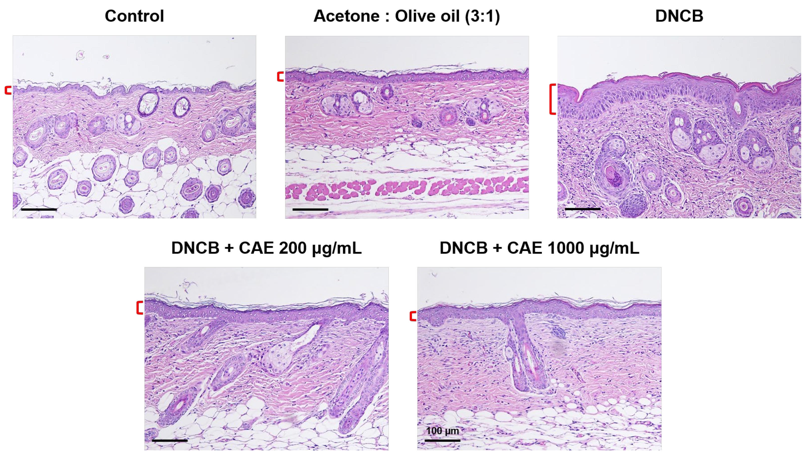 Ijms 24 12367 g015 Ijms 24 12367 g015