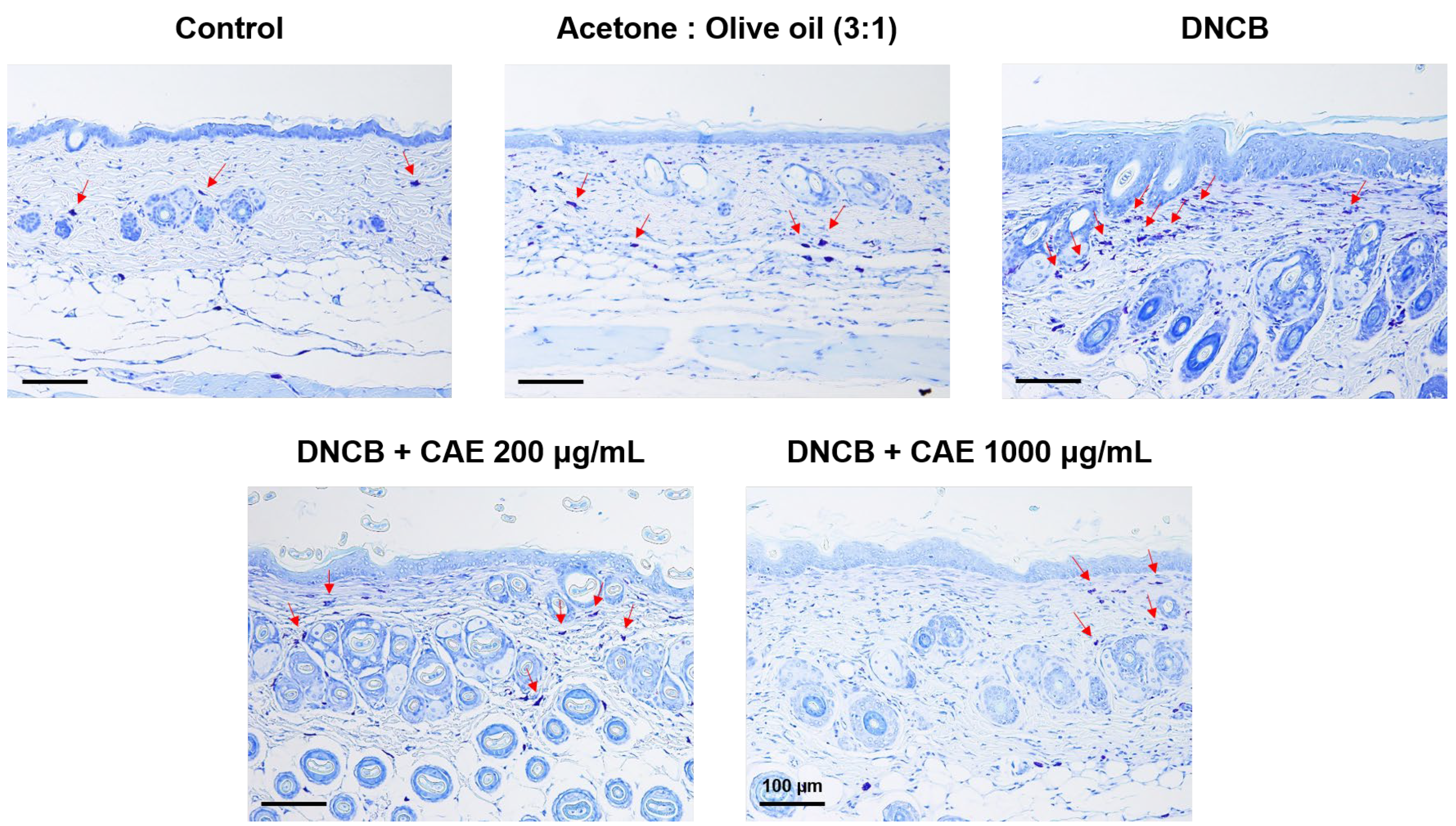 Ijms 24 12367 g017 Ijms 24 12367 g017