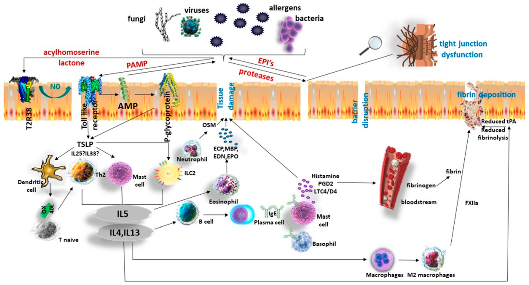 Ijms 24 12379 g002 Ijms 24 12379 g002