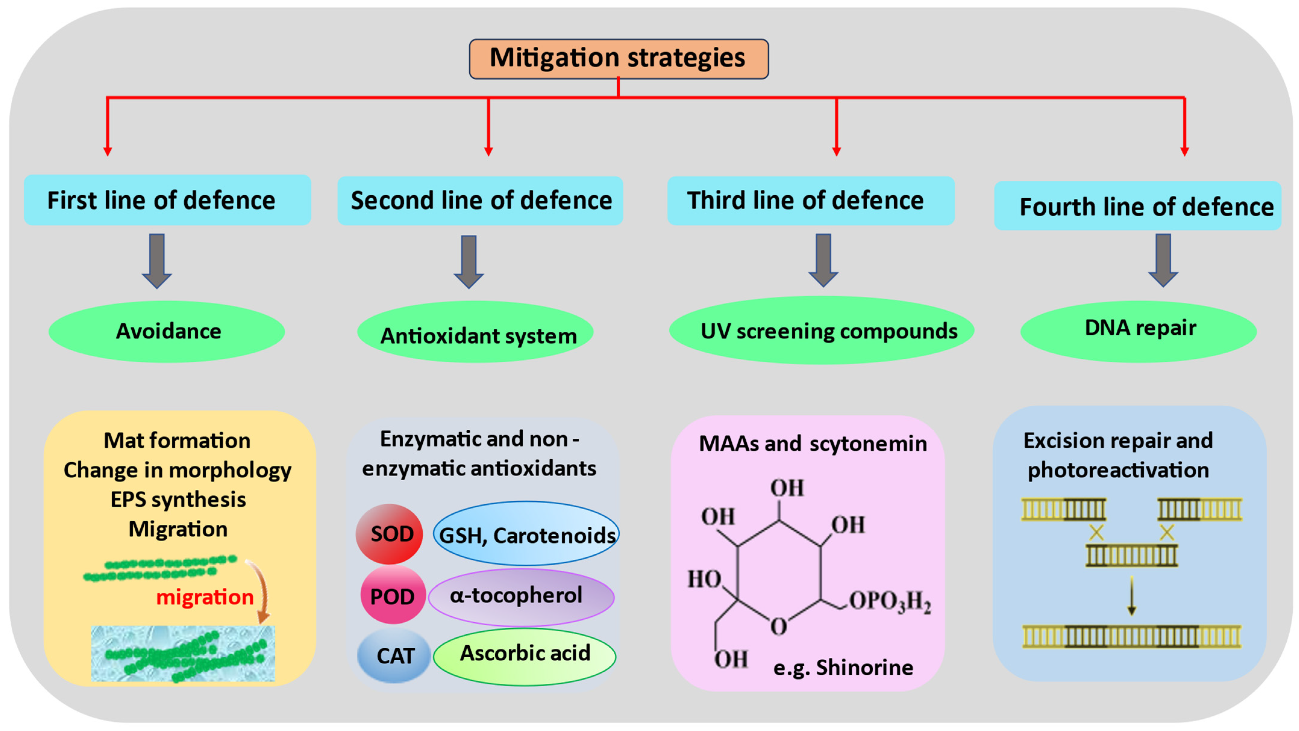 Ijms 24 12381 g003 Ijms 24 12381 g003
