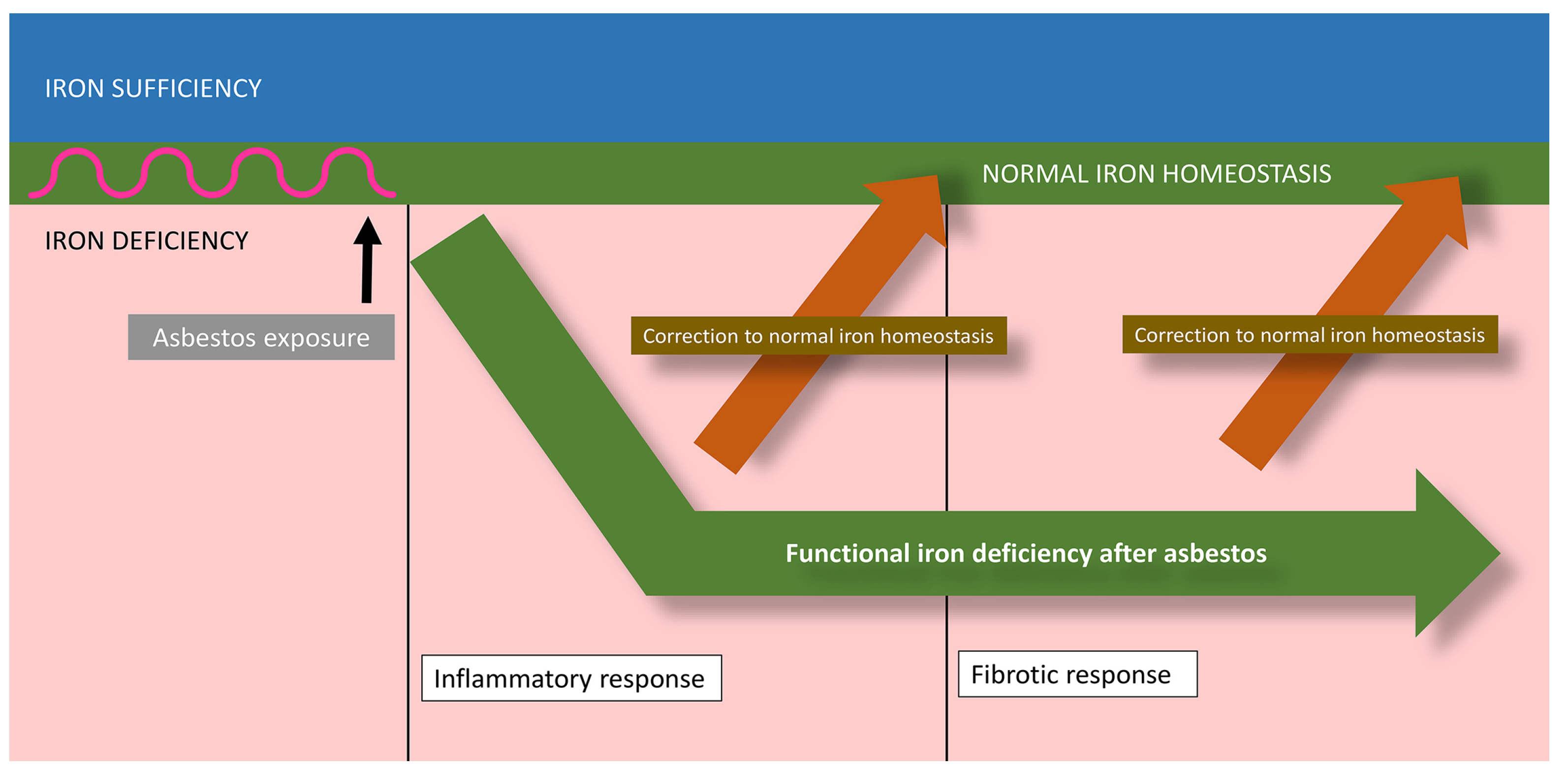 Ijms 24 12390 g003 Ijms 24 12390 g003