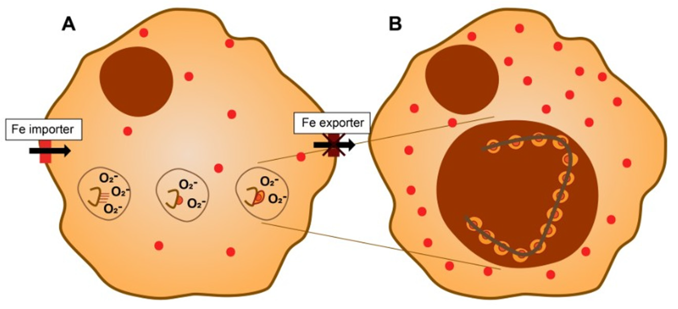 Ijms 24 12390 g005 Ijms 24 12390 g005